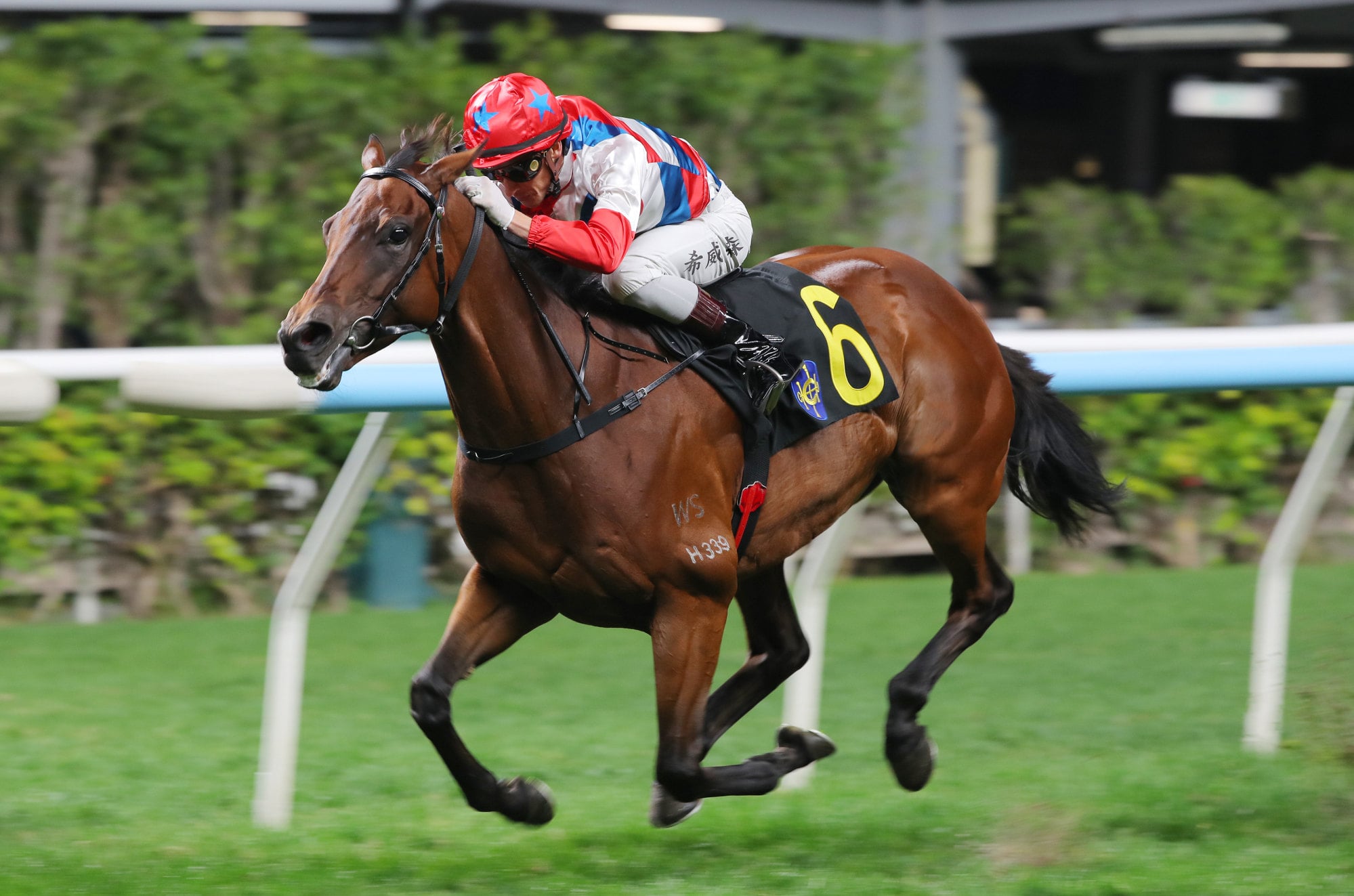 Lyle Hewitson lifts Ninja Derby to victory at Happy Valley in December.