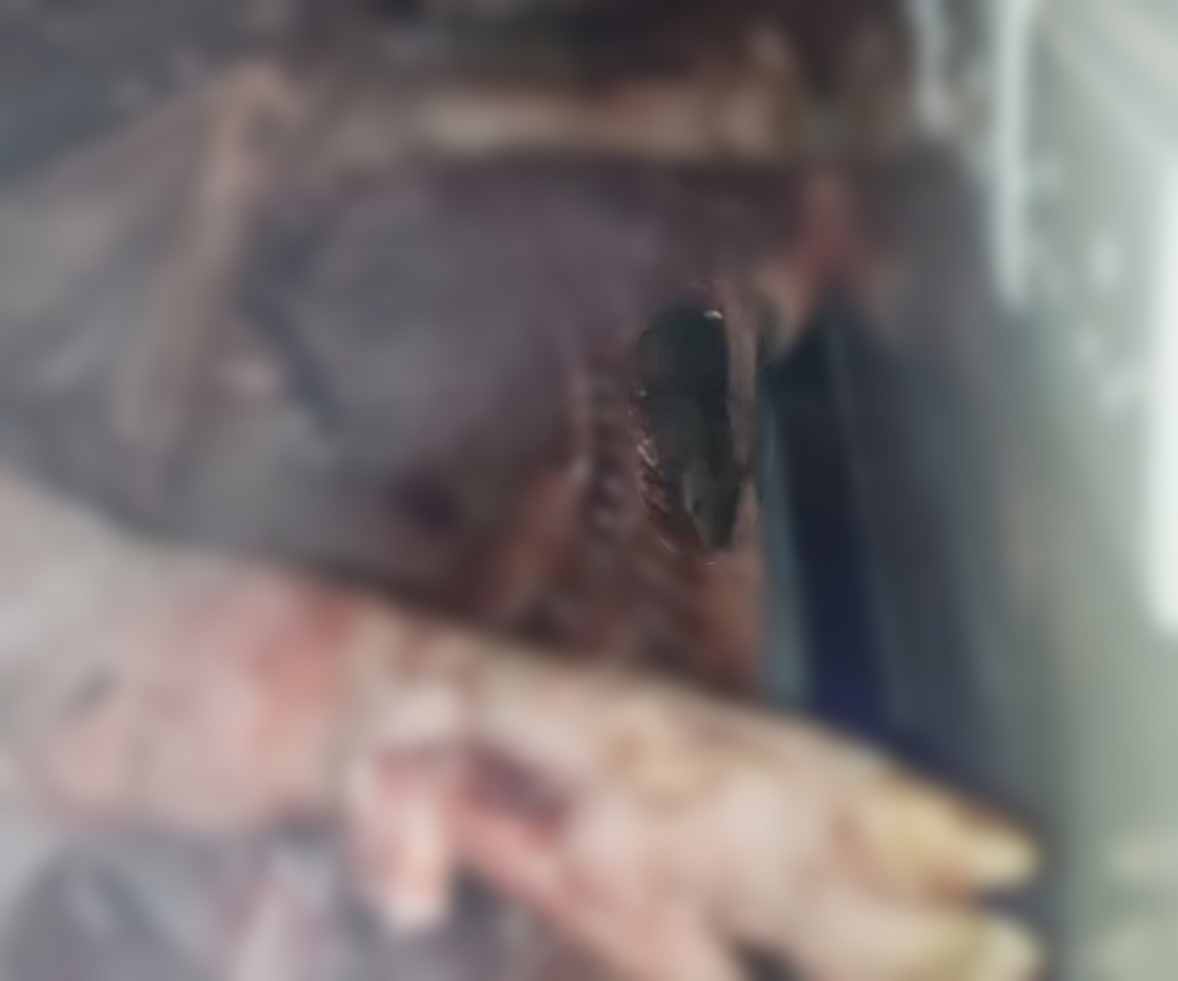 Hong Kong’s food hygiene authorities have launched a prosecution against a a branch of Qiandama in Kwun Tong after a viral video and a subsequent inspection found rats running over pig carcasses. Photo: Google Photo: Handout