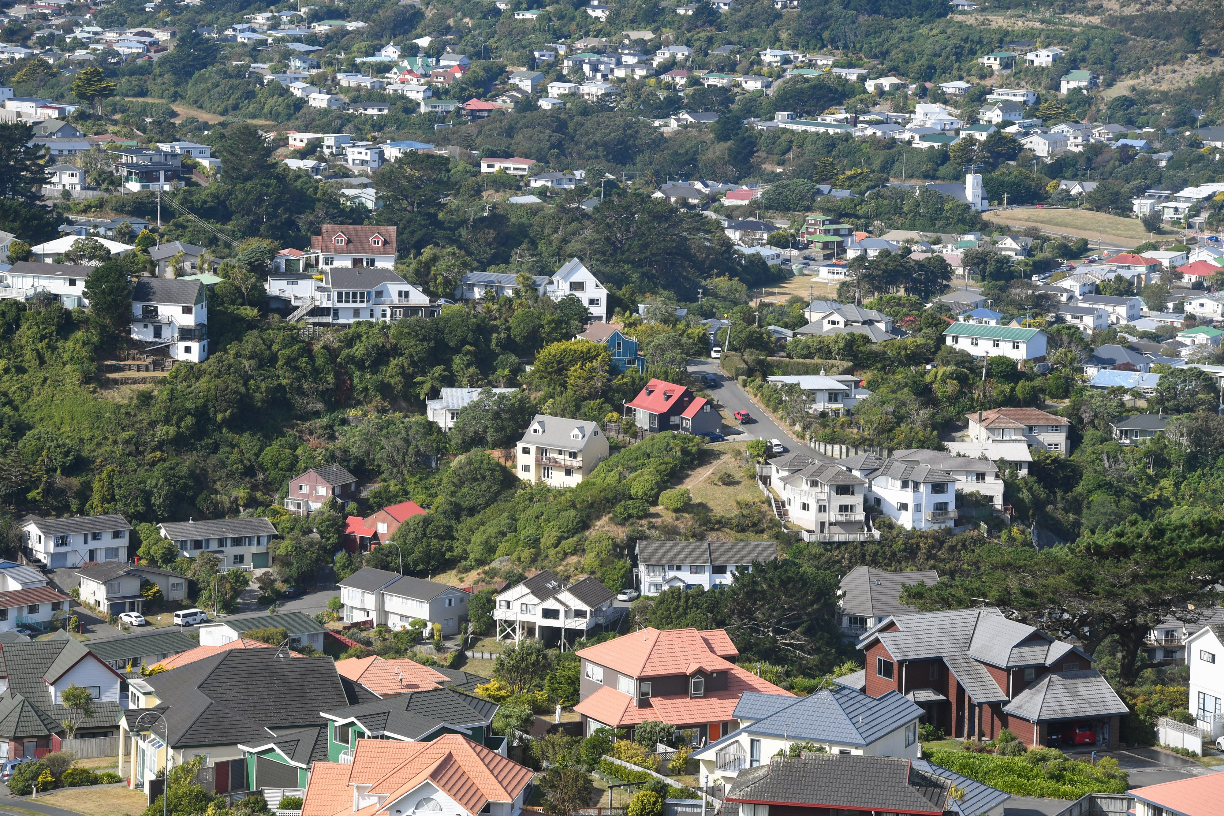 A residential area near Wellington, New Zealand. Photo: Xinhua