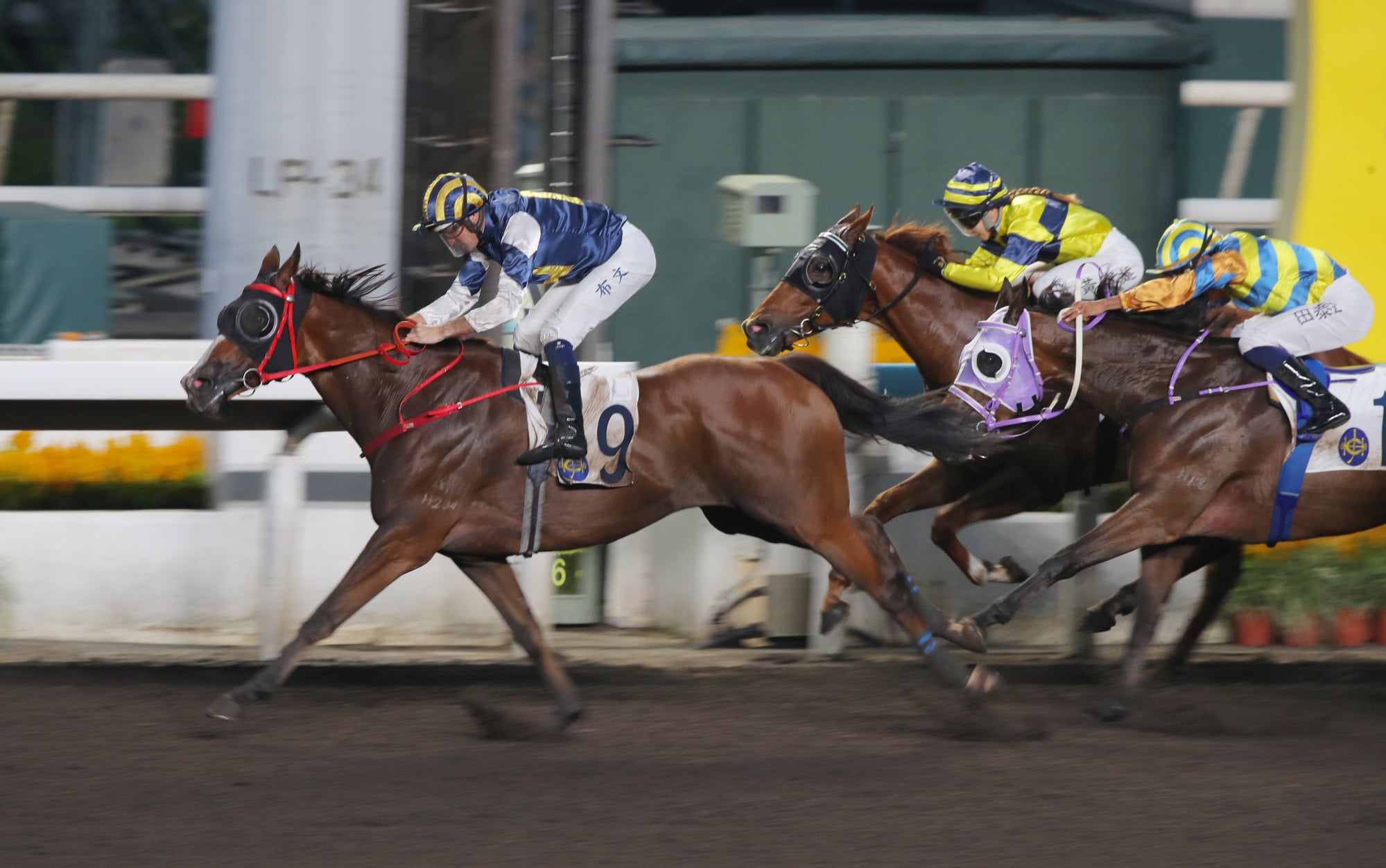 Hugh Bowman guides Meepmeep to victory last start.