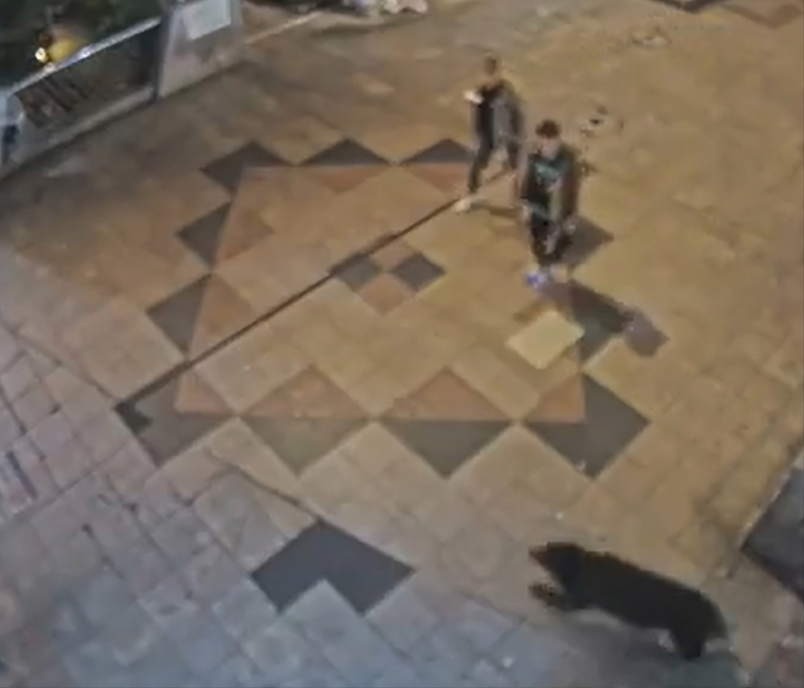 A screengrab from a social media video shows a bear dashing in front of two people walking in a shopping arcade in Utsunomiya, Japan, on Sunday. Photo: X