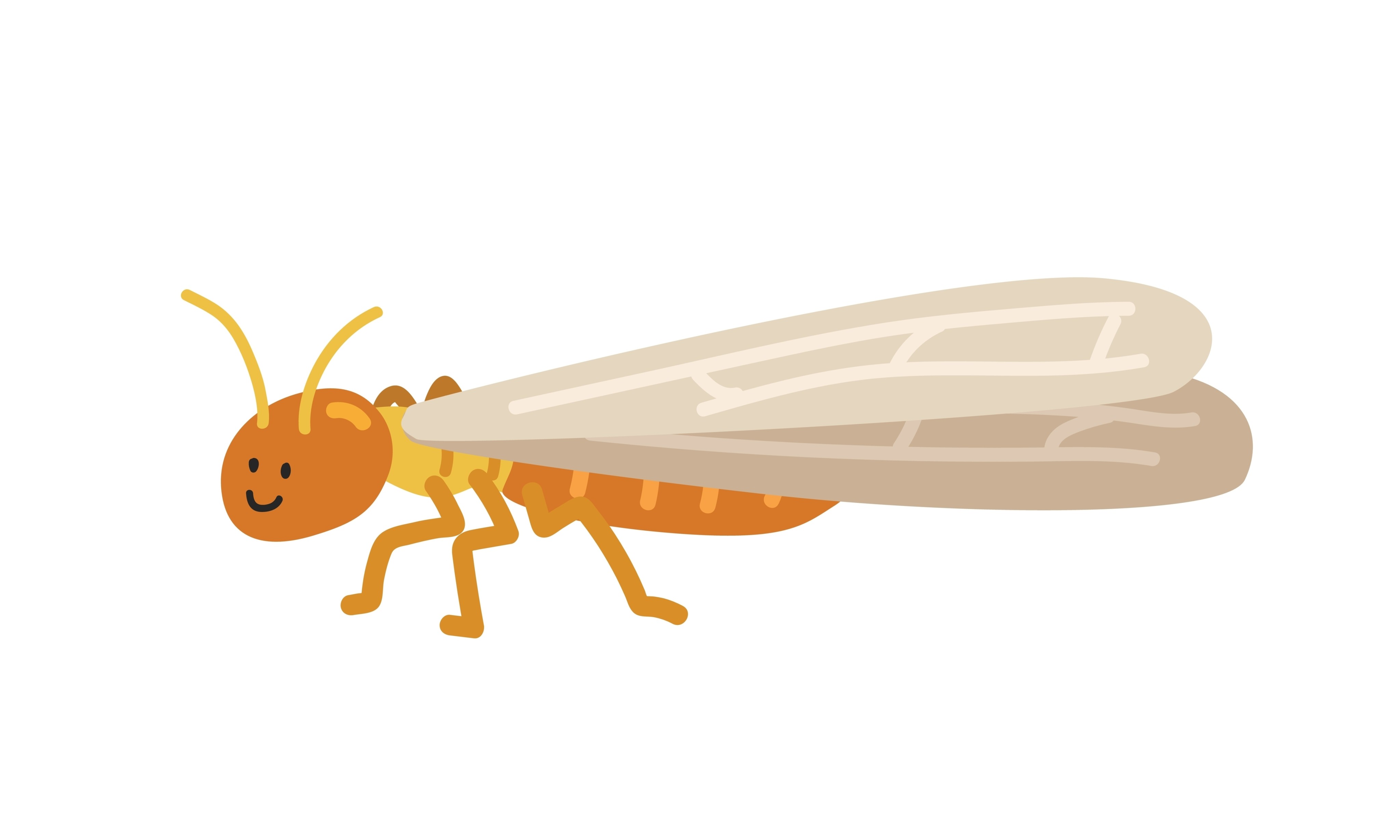 Termites are a common household pest. Photo: Shutterstock