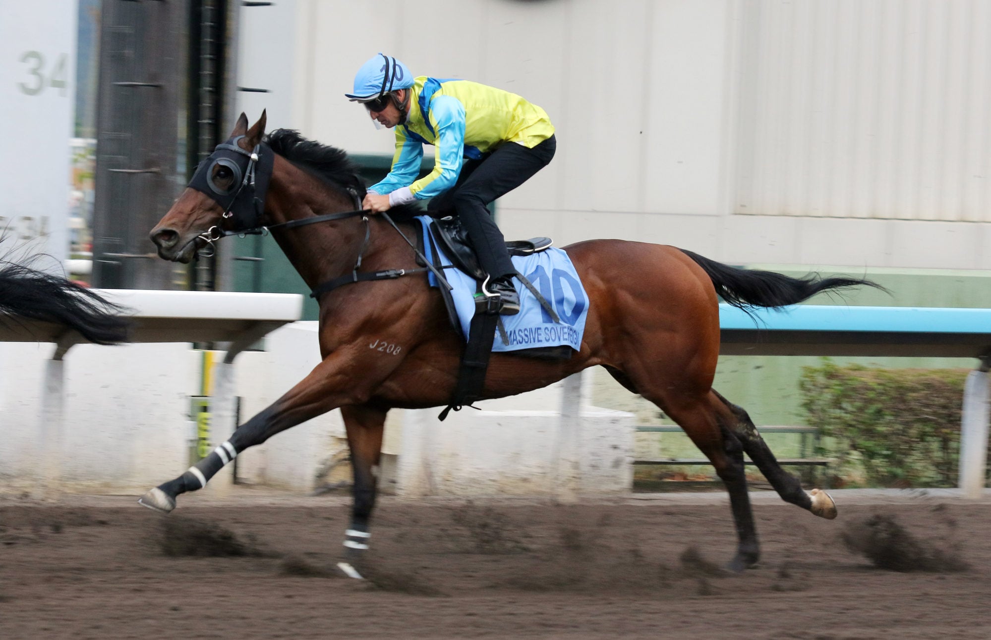 Massive Sovereign at the trials late last year. Massive Sovereign at the trials late last year.