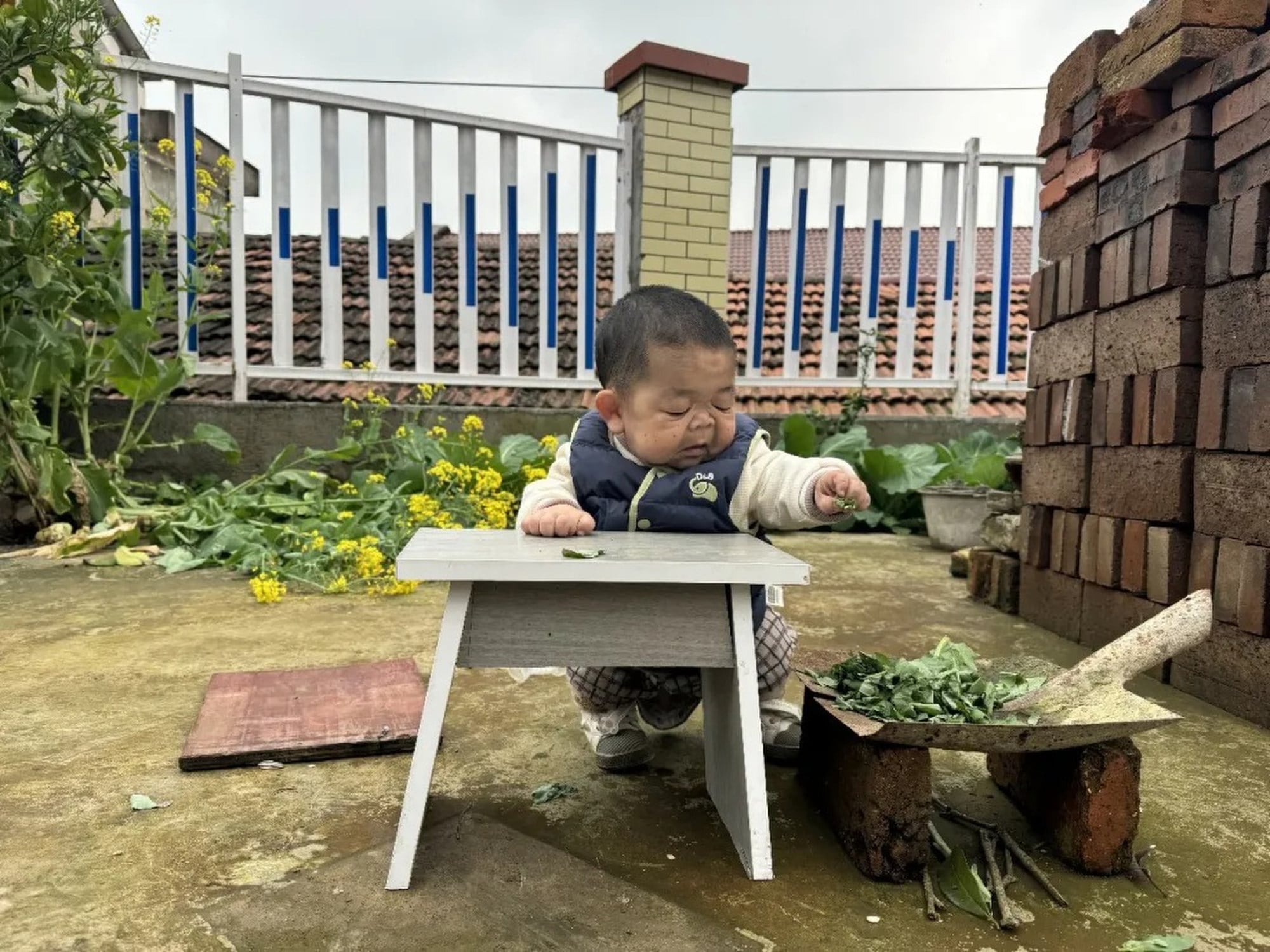 Wang squats at a table while helping out in the family’s garden. Photo: Handout Wang squats at a table while helping out in the family’s garden. Photo: Handout