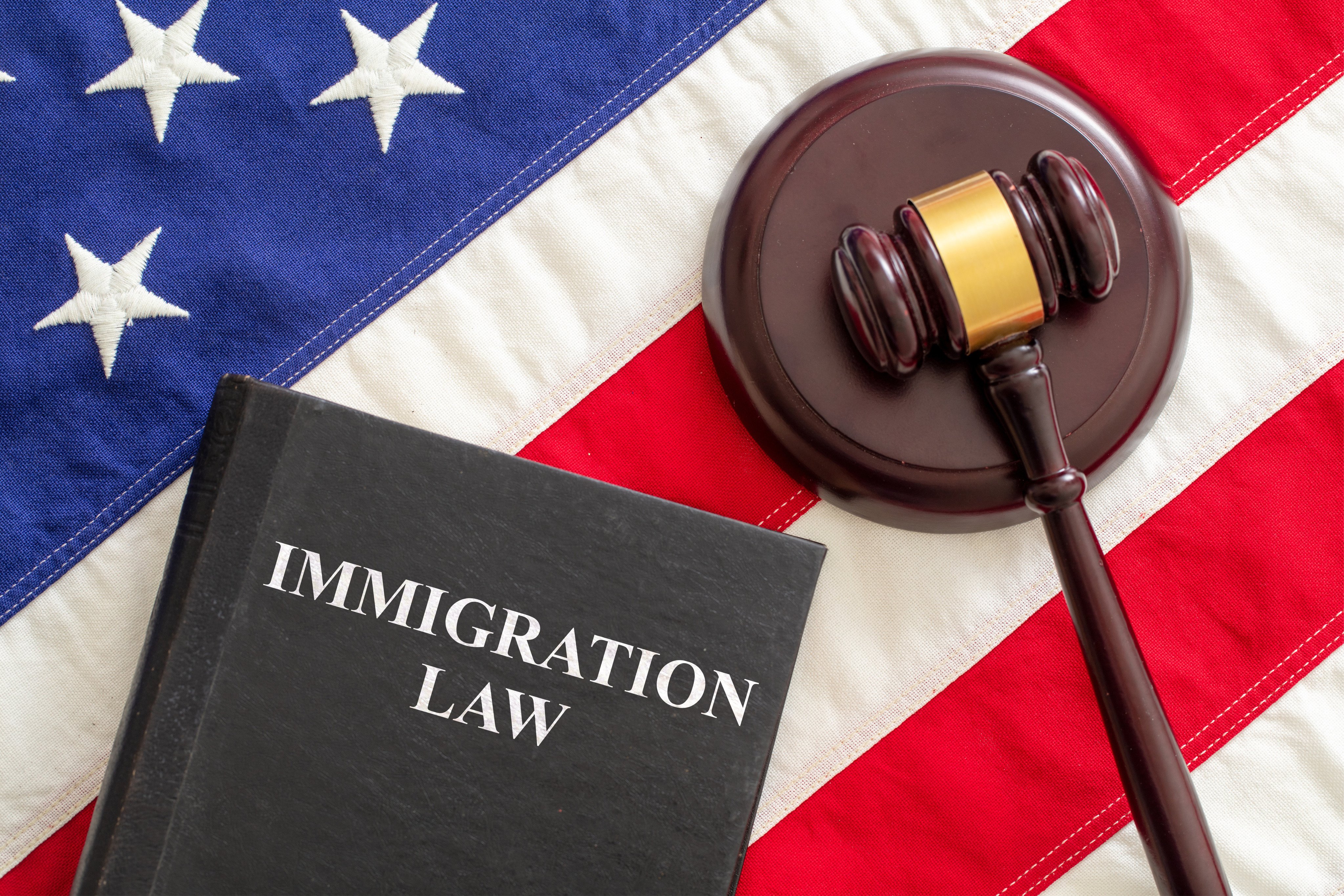 US prosecutors say a Chinese-born resident of the American state of Georgia hid a prior deportation order and immigration history under a different identity before becoming a US citizen in 2006. Photo: Shutterstock