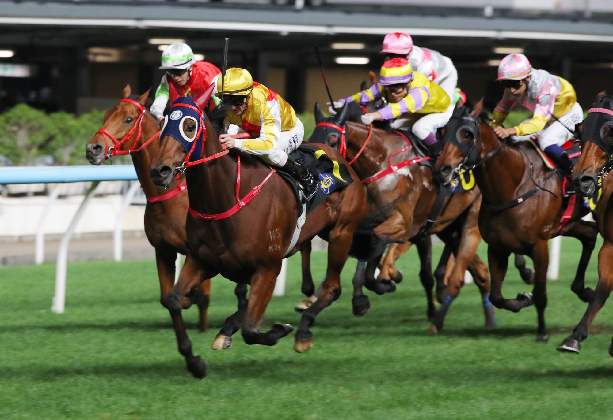 Absolute Awakened and Zac Purton triumph at Happy Valley. Absolute Awakened and Zac Purton triumph at Happy Valley.