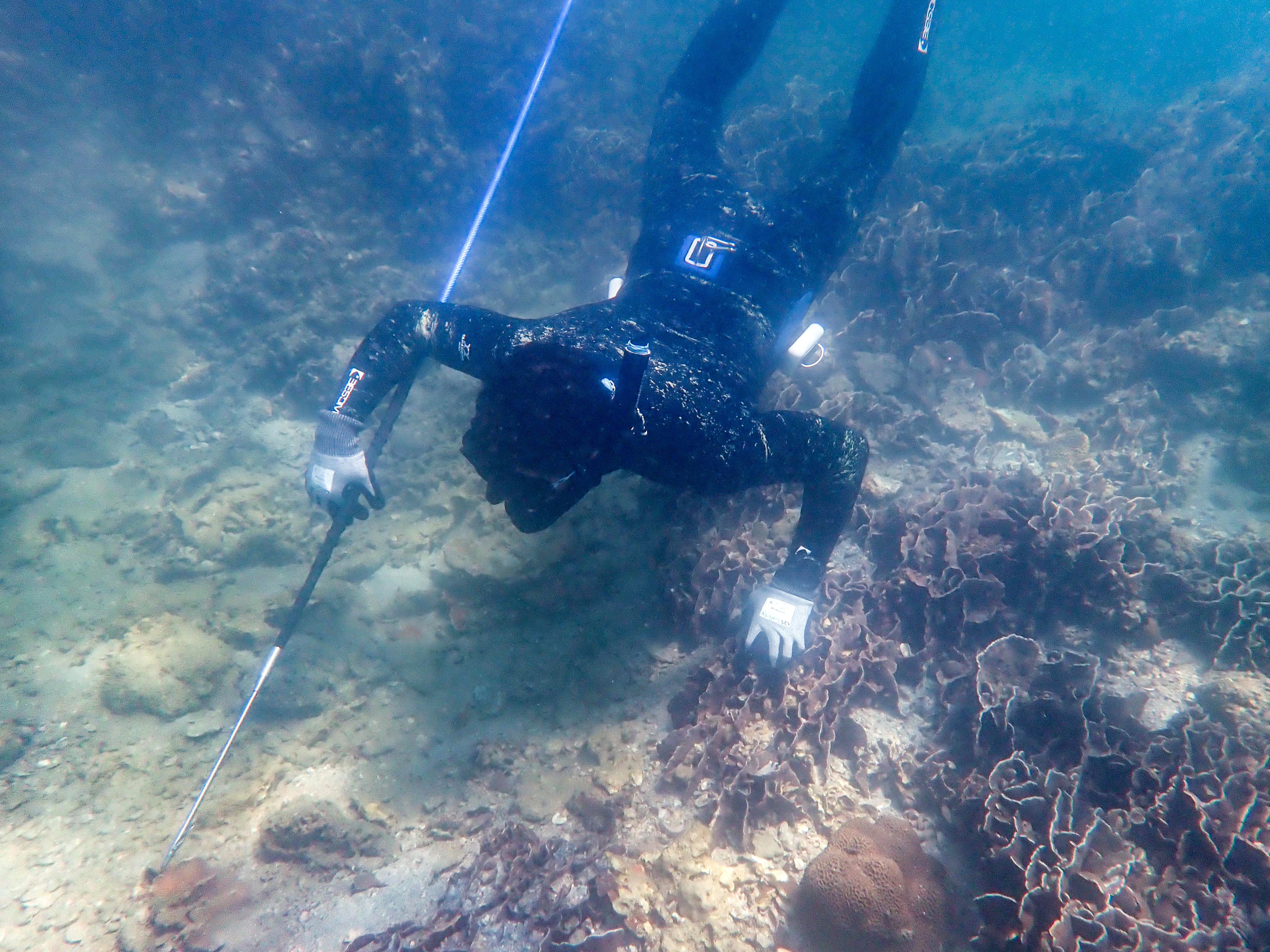 Authorities have noted that improper behaviour by tourists have threatened the island’s extensive coral communities. Photo: Handout