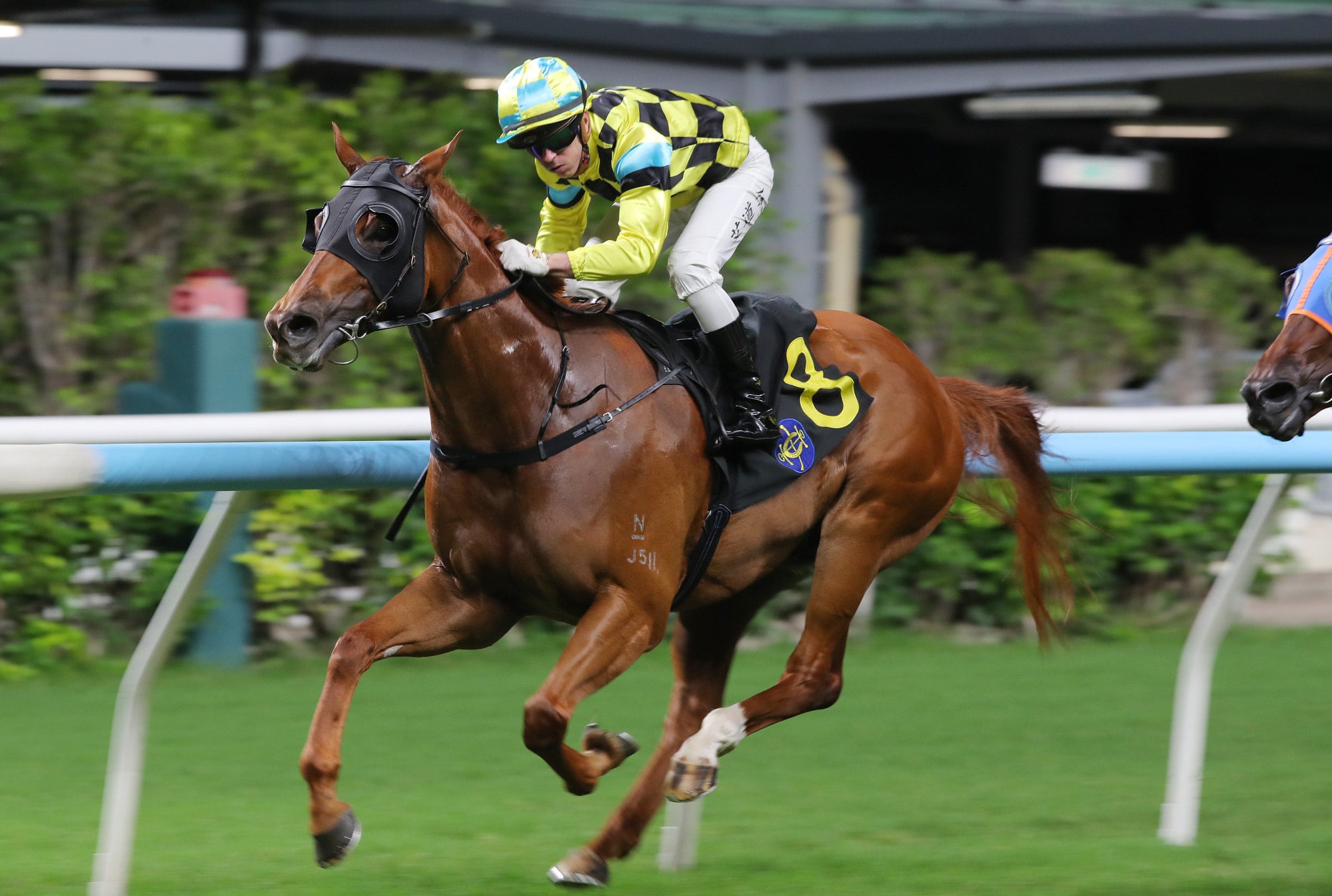 Holmes A Court, ridden by Brenton Avdulla, scores at Happy Valley. Holmes A Court, ridden by Brenton Avdulla, scores at Happy Valley.