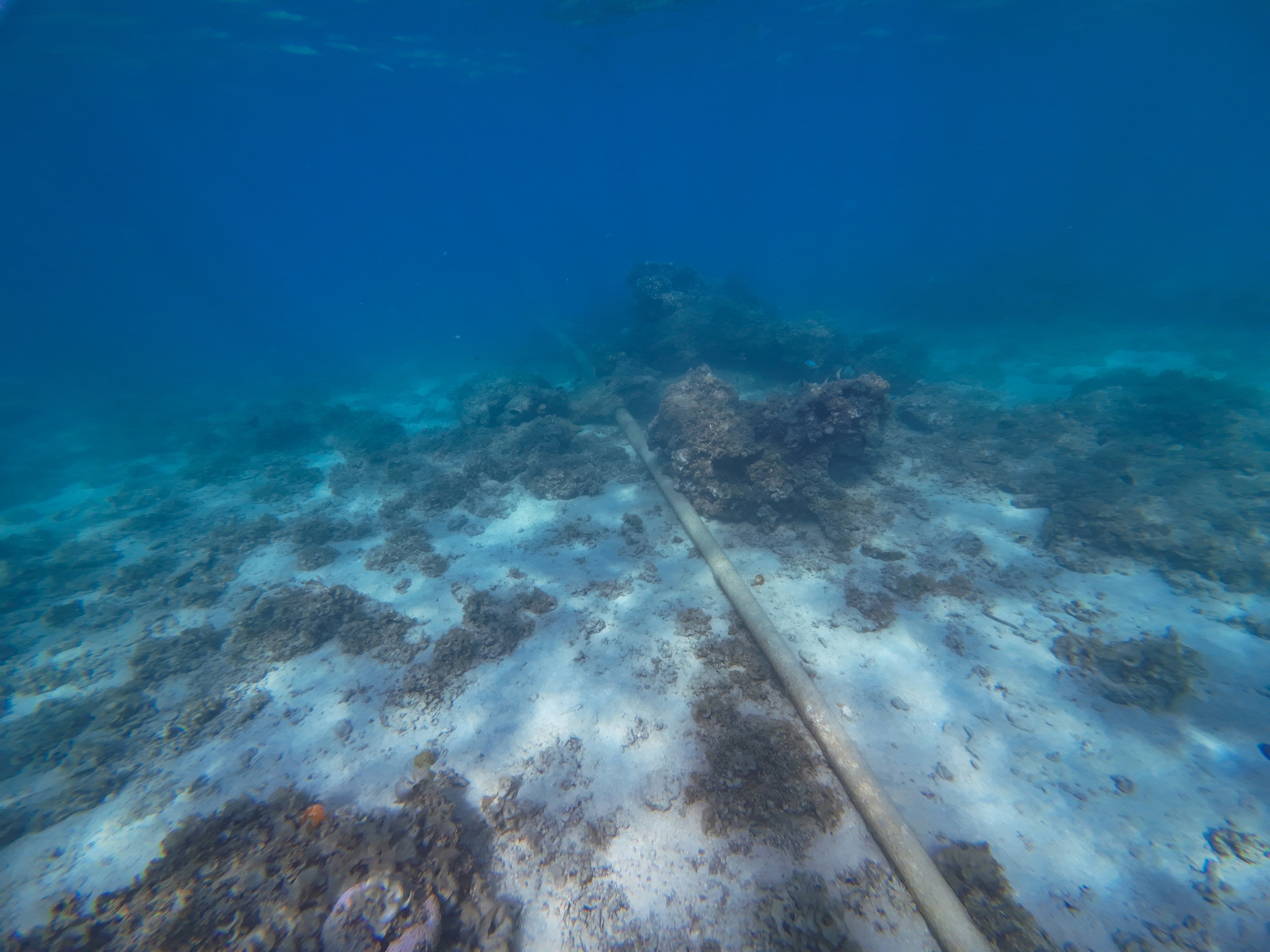 China and the US were notably absent from a list of 17 Asian and European countries calling for collaboration on defence strategies to protect vulnerable submarine cables during conflicts. Photo: Shutterstock Images