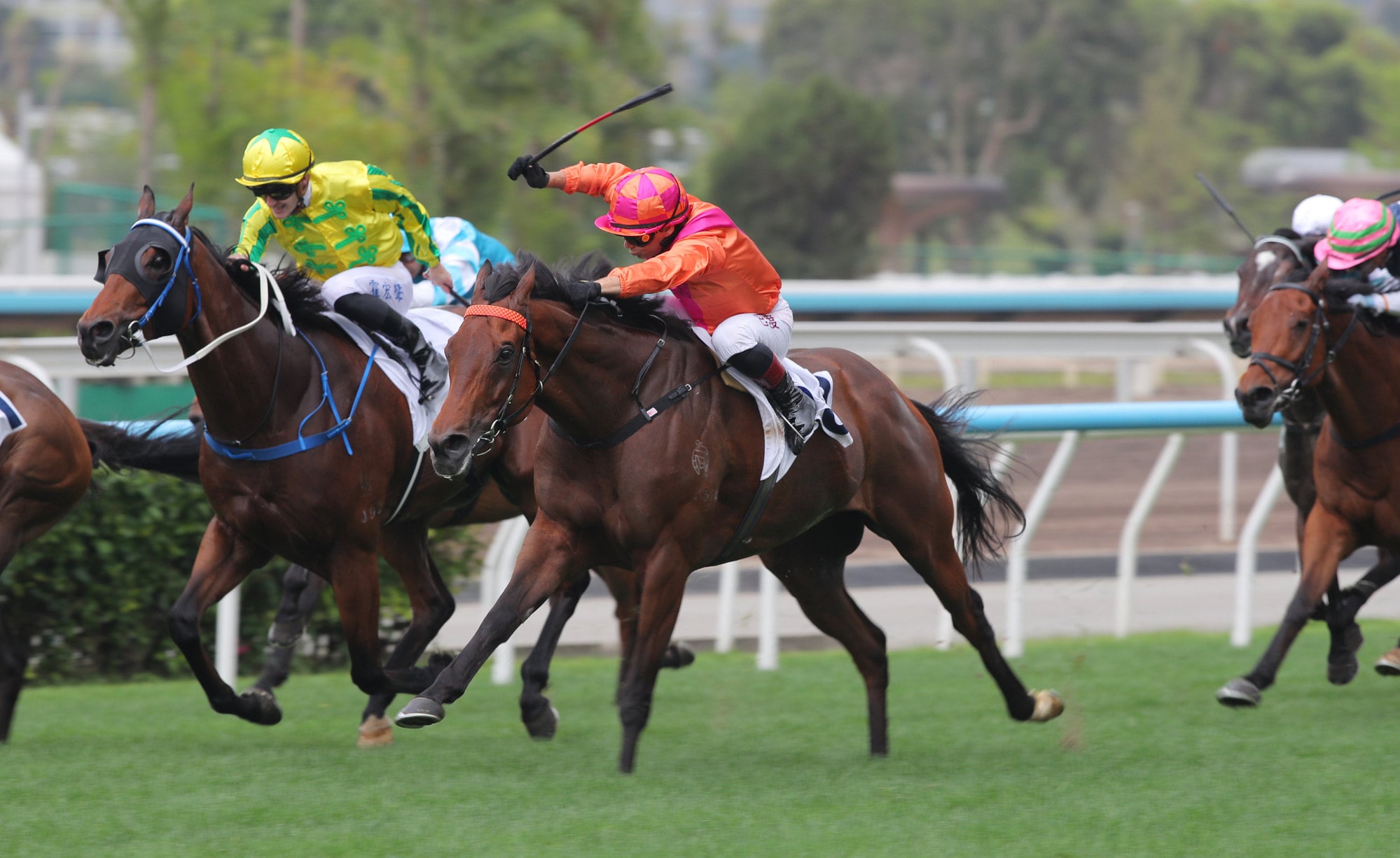 Max Que wins at Sha Tin in March. Max Que wins at Sha Tin in March.