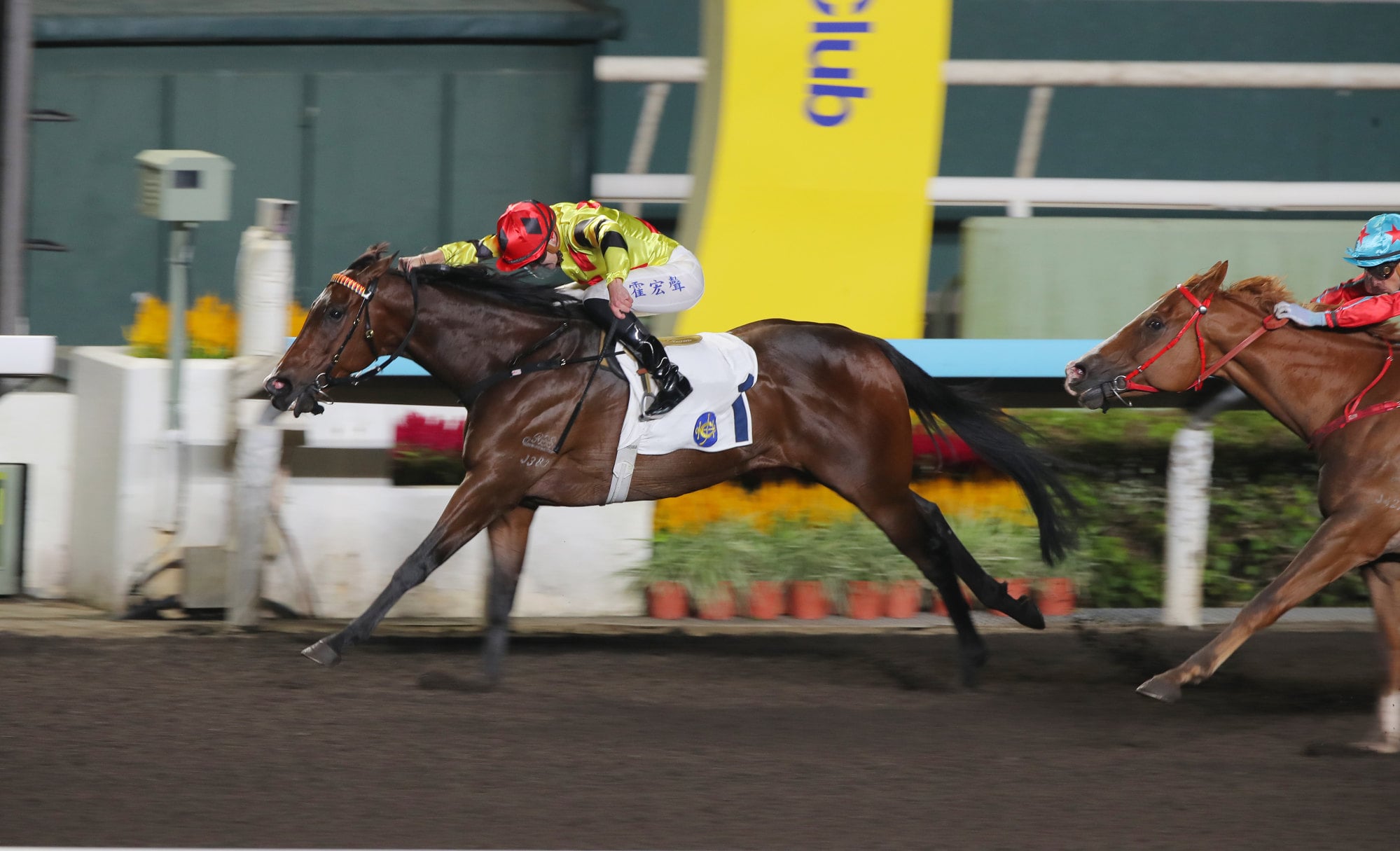 Notthesillyone wins well at Sha Tin last month. Notthesillyone wins well at Sha Tin last month.