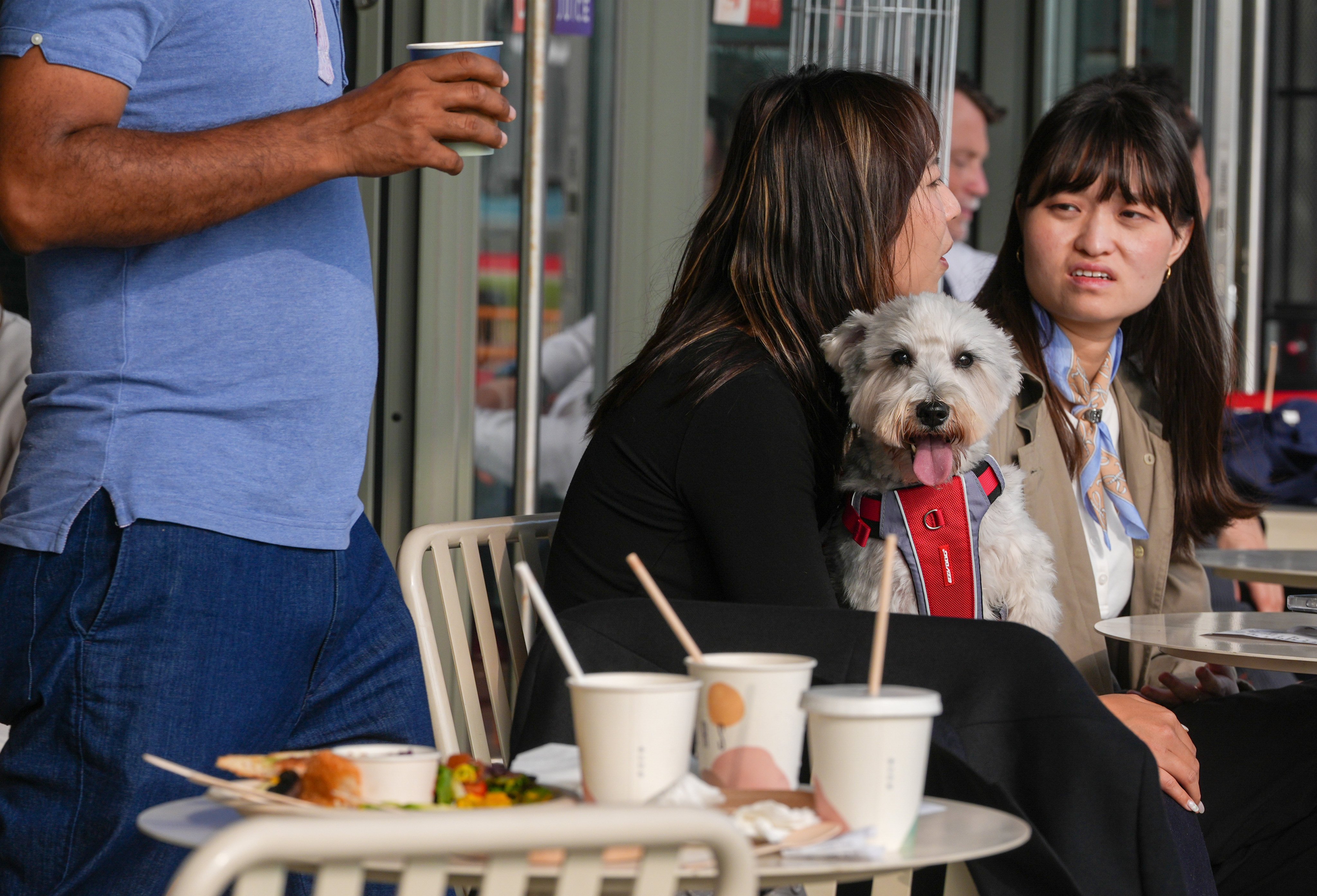 Diners bring their pets to a restaurant in West Kowloon Cultural District. Photo: Eugene Lee