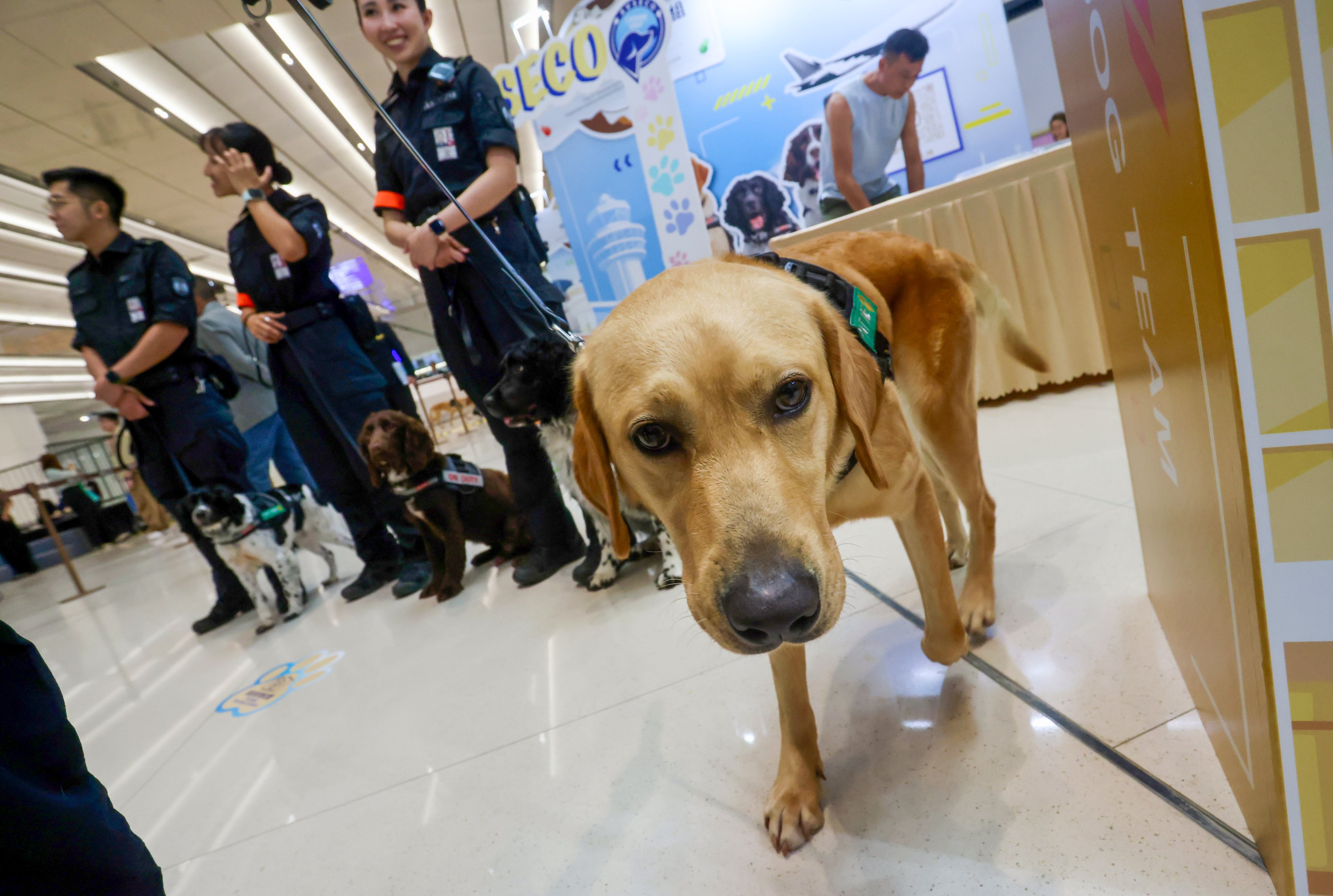 The dog unit was set up five years ago. Photo: Jonathan Wong
