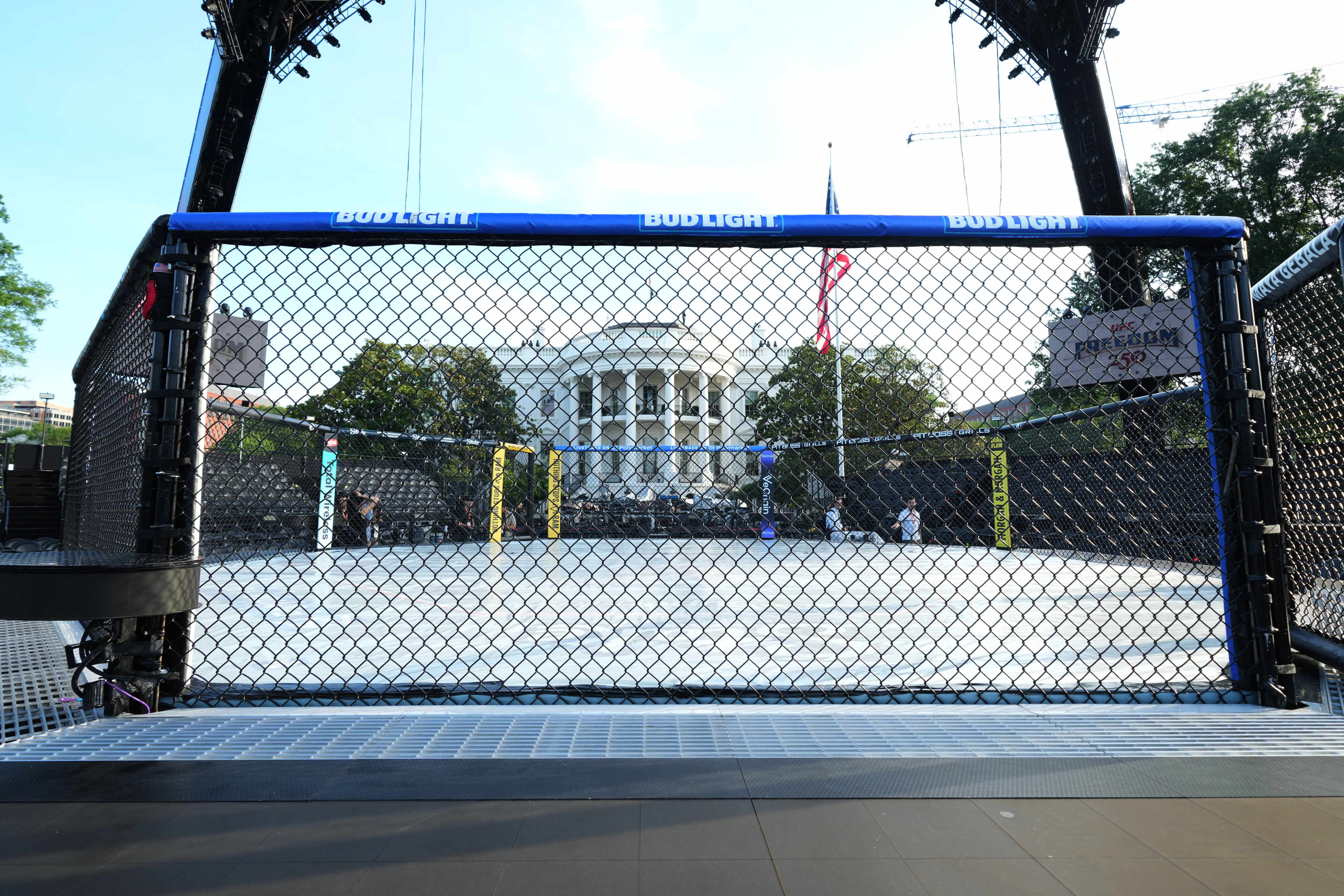 The fight cage up close. Photo: AP