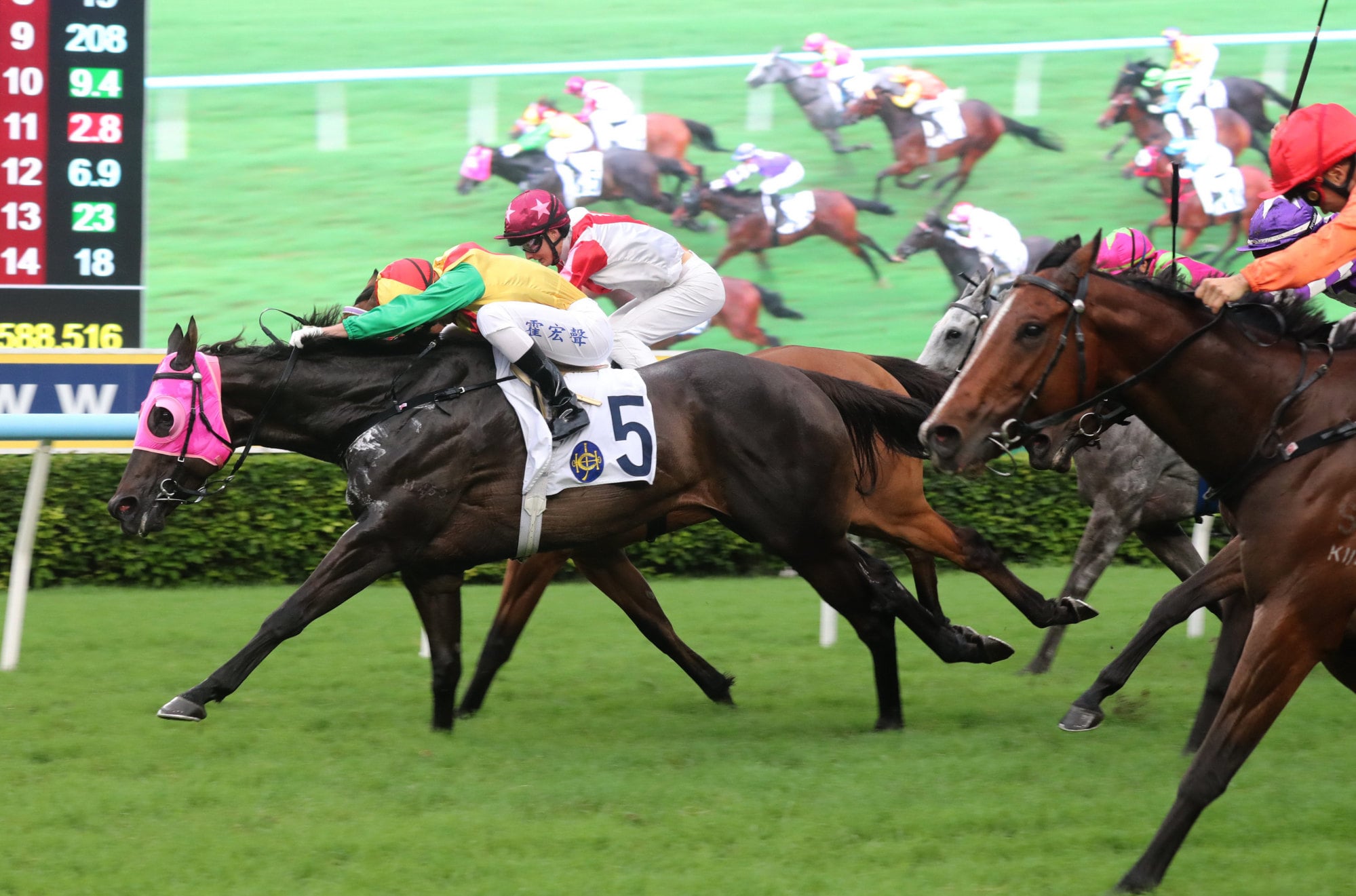 Meaningful Dragon wins narrowly last start. Meaningful Dragon wins narrowly last start.