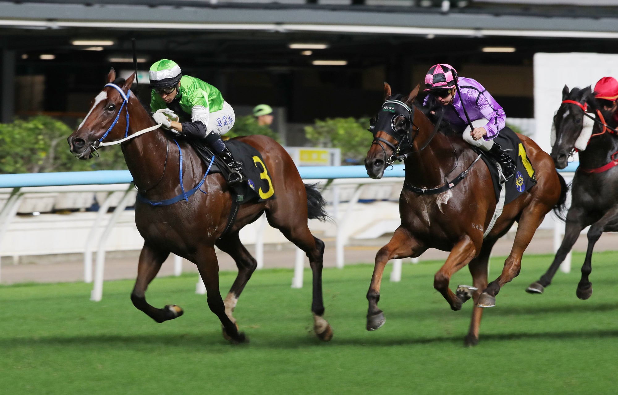Withallmyfaith (right) is tipped out late at Happy Valley last month. Withallmyfaith (right) is tipped out late at Happy Valley last month.