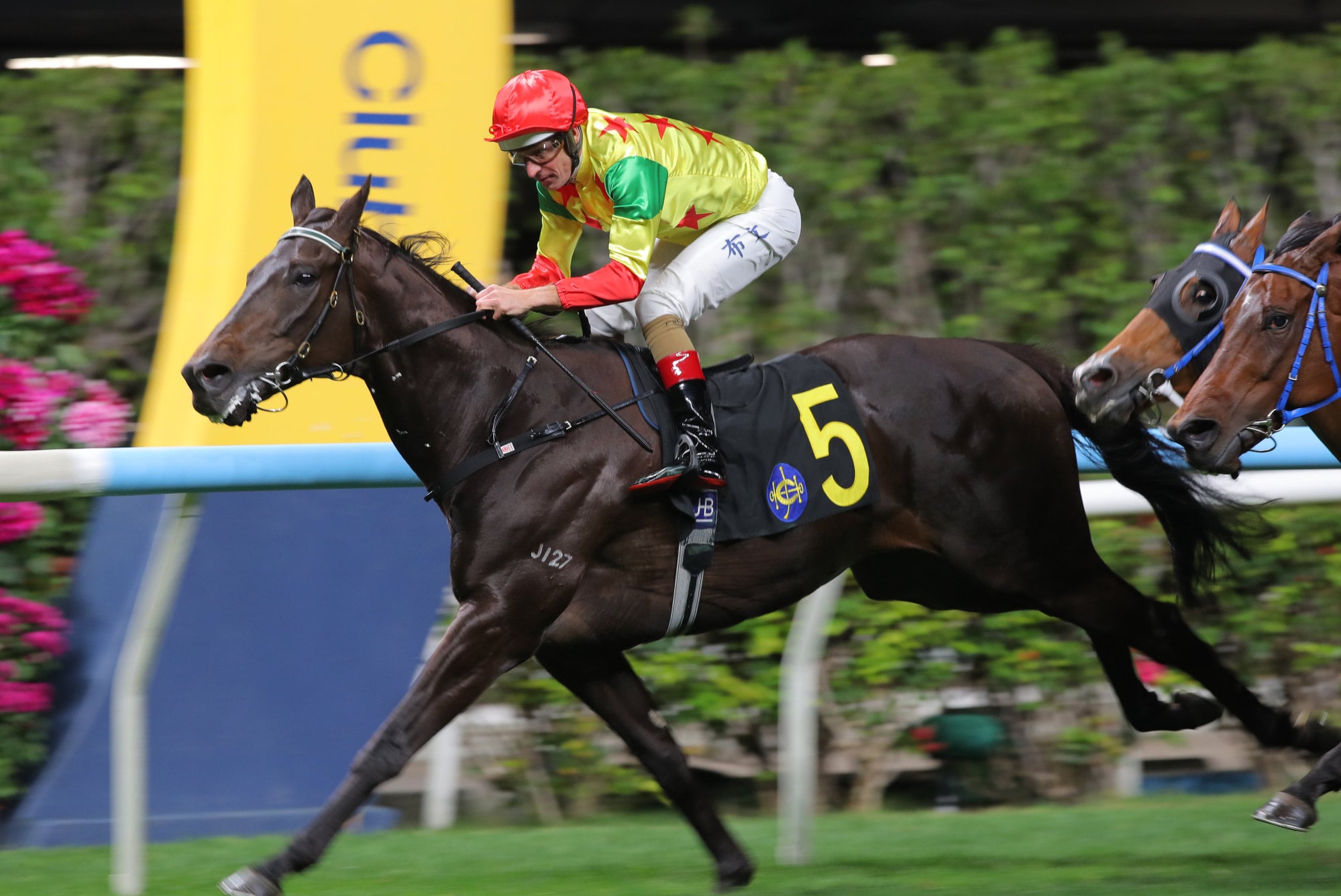 Soleil Fighter wins at Happy Valley in February. Soleil Fighter wins at Happy Valley in February.
