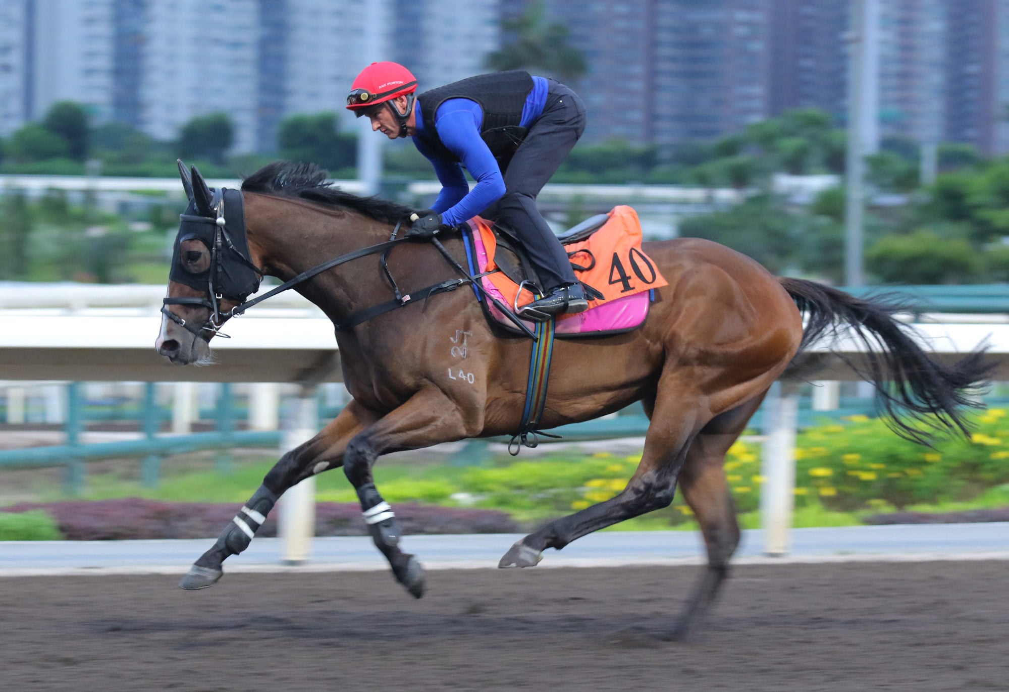 Superb Spirit gallops under Zac Purton on Thursday. Superb Spirit gallops under Zac Purton on Thursday.
