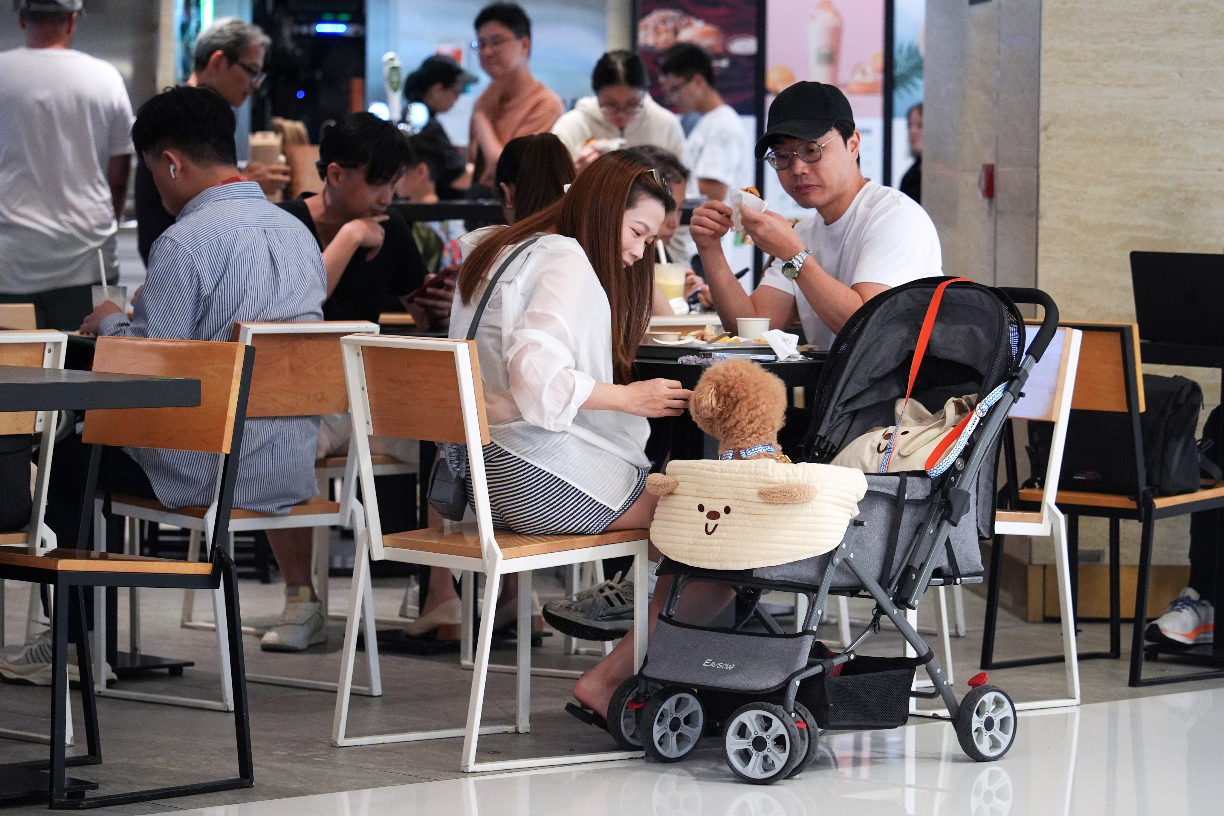 Diners bring their pets to a restaurant at a pet-friendly shopping centre in Sha Tin. Photo: Eugene Lee