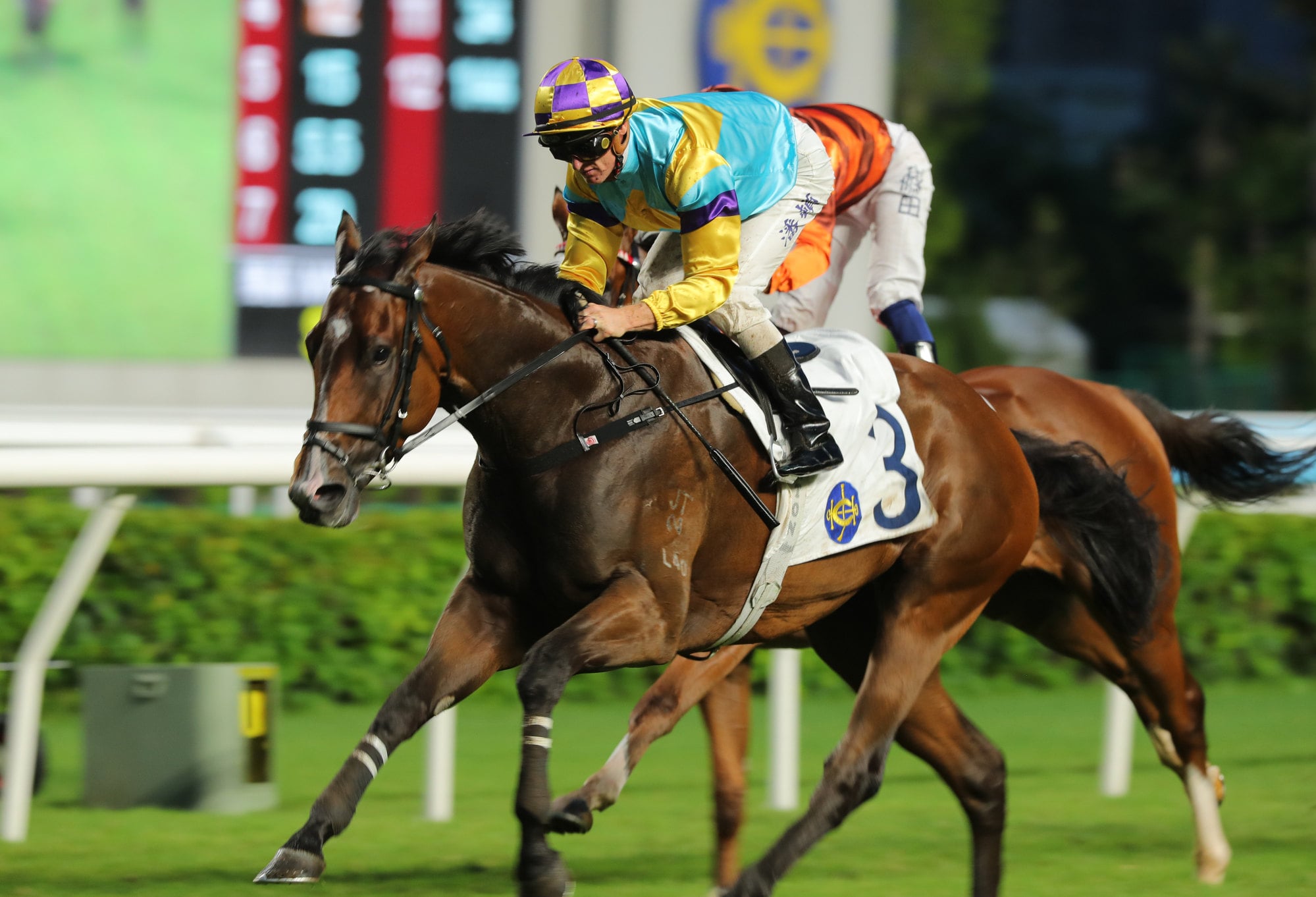 Superb Spirit, ridden by Zac Purton, scores at Sha Tin. Superb Spirit, ridden by Zac Purton, scores at Sha Tin.