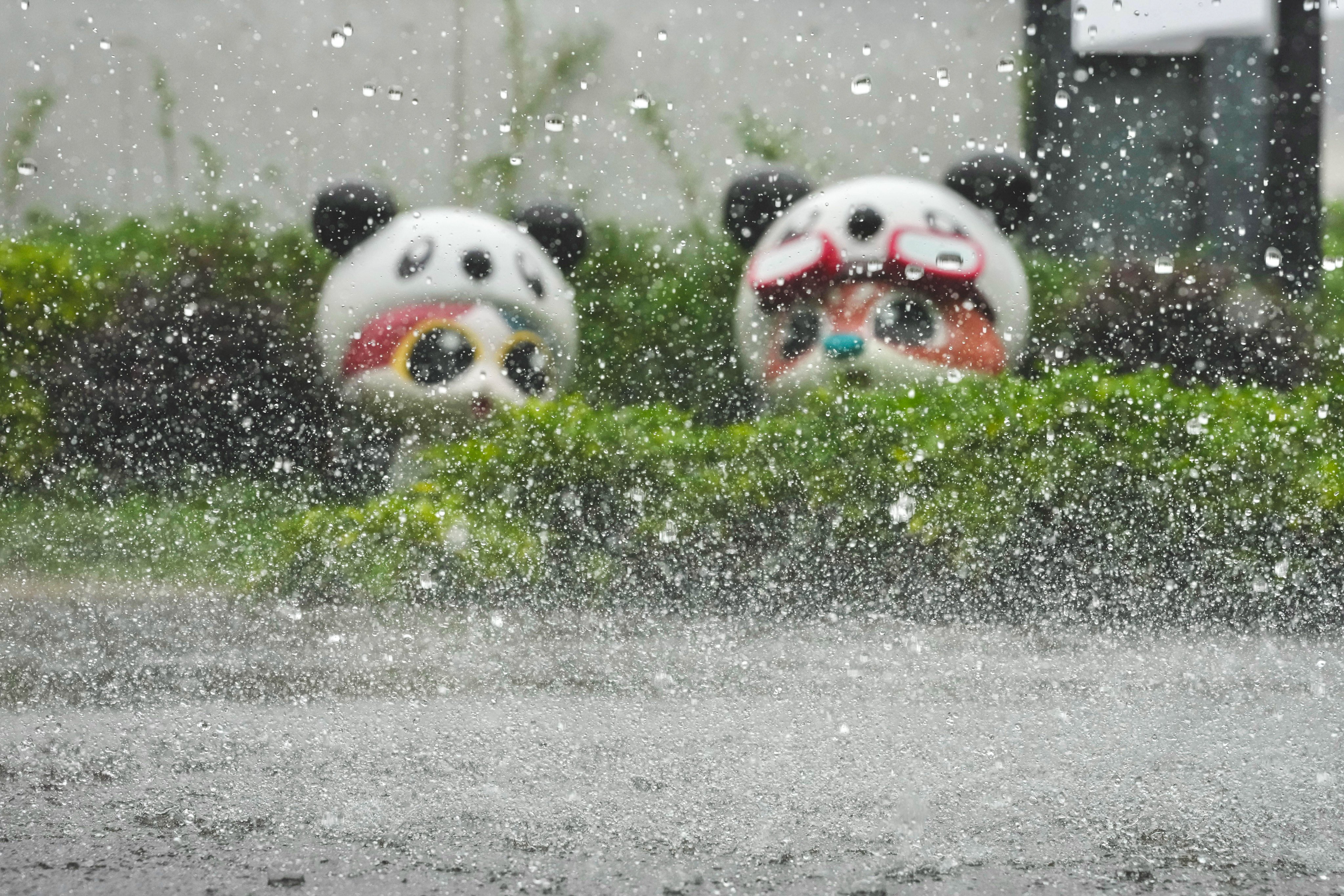 Heavy rain falls in Wan Chai. Photo: Karma Lo