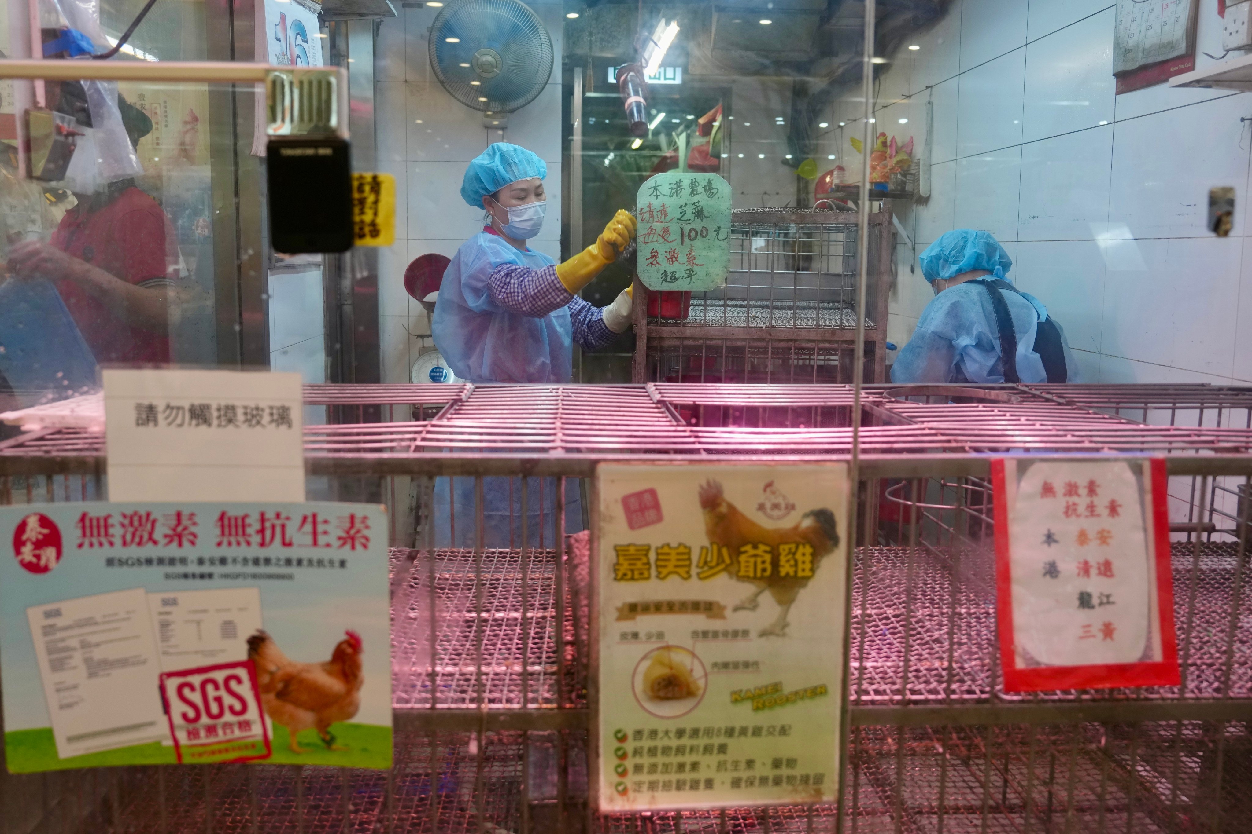 Staff members scrub live chicken cages. Photo: Sam Tsang