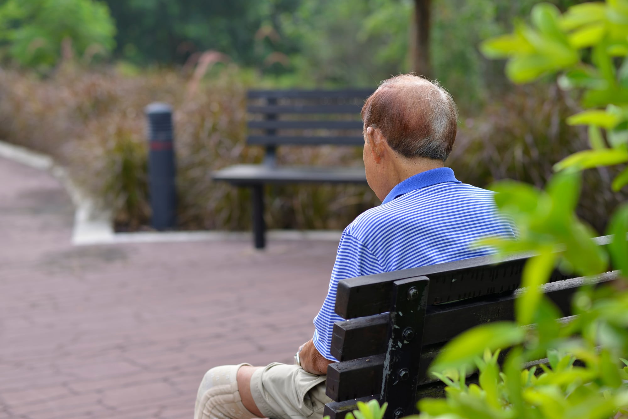 An unidentified elderly Asian man sitting alone on a bench in a public park. Photo: Shutterstock An unidentified elderly Asian man sitting alone on a bench in a public park. Photo: Shutterstock