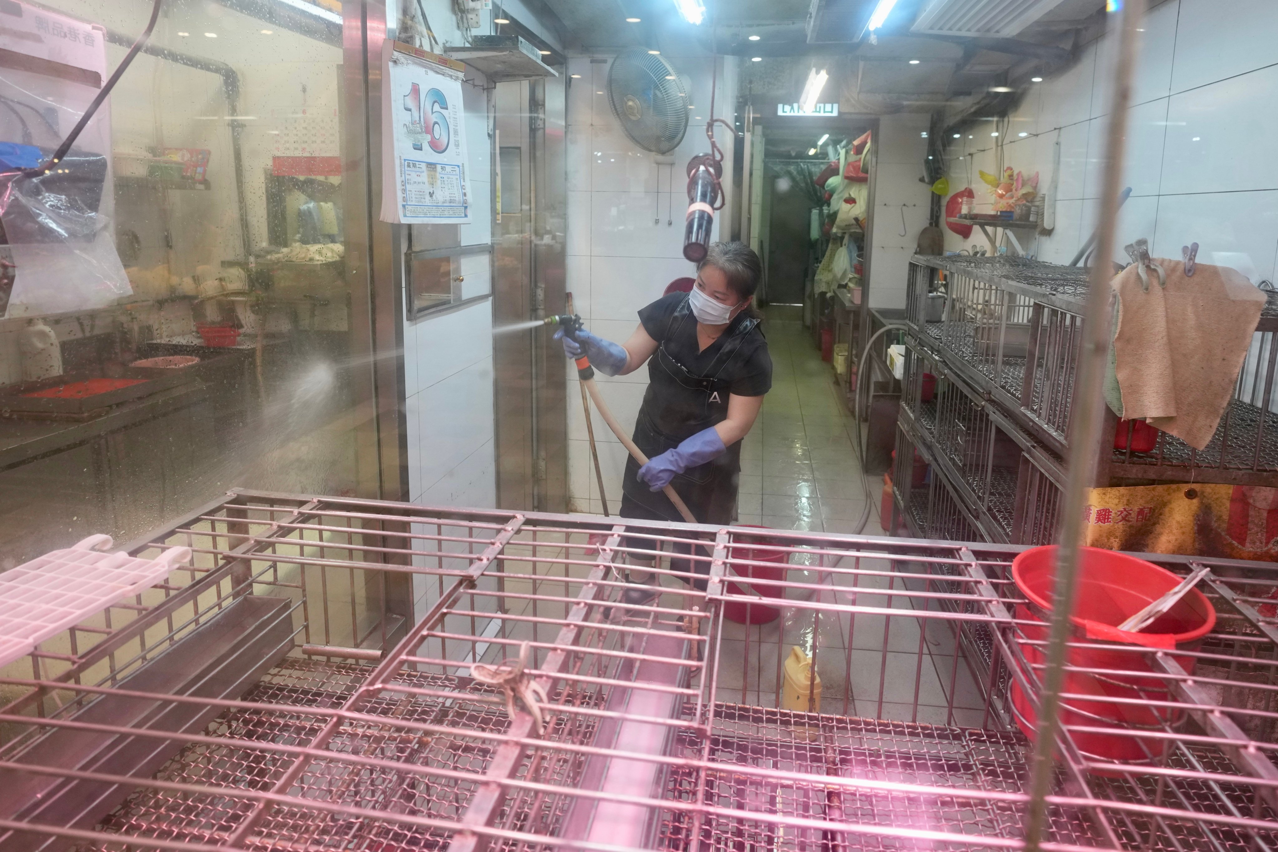 A staff member clean and disinfect the poultry shop at Wo Che Market. Photo: Sam Tsang