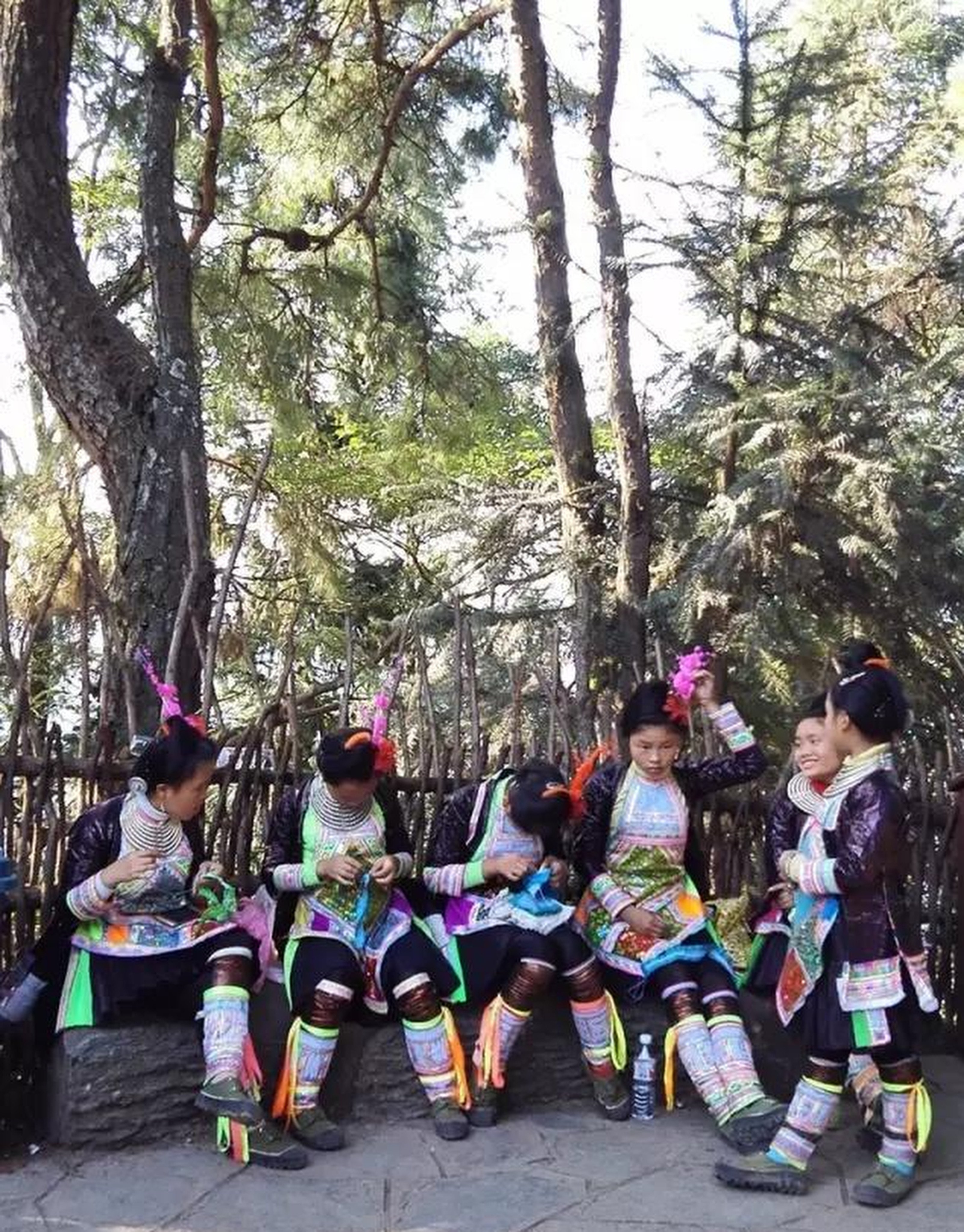 The Miao people of China revere trees, believing that humans are akin to the vegetation and vice versa. Photo: Zhihu
