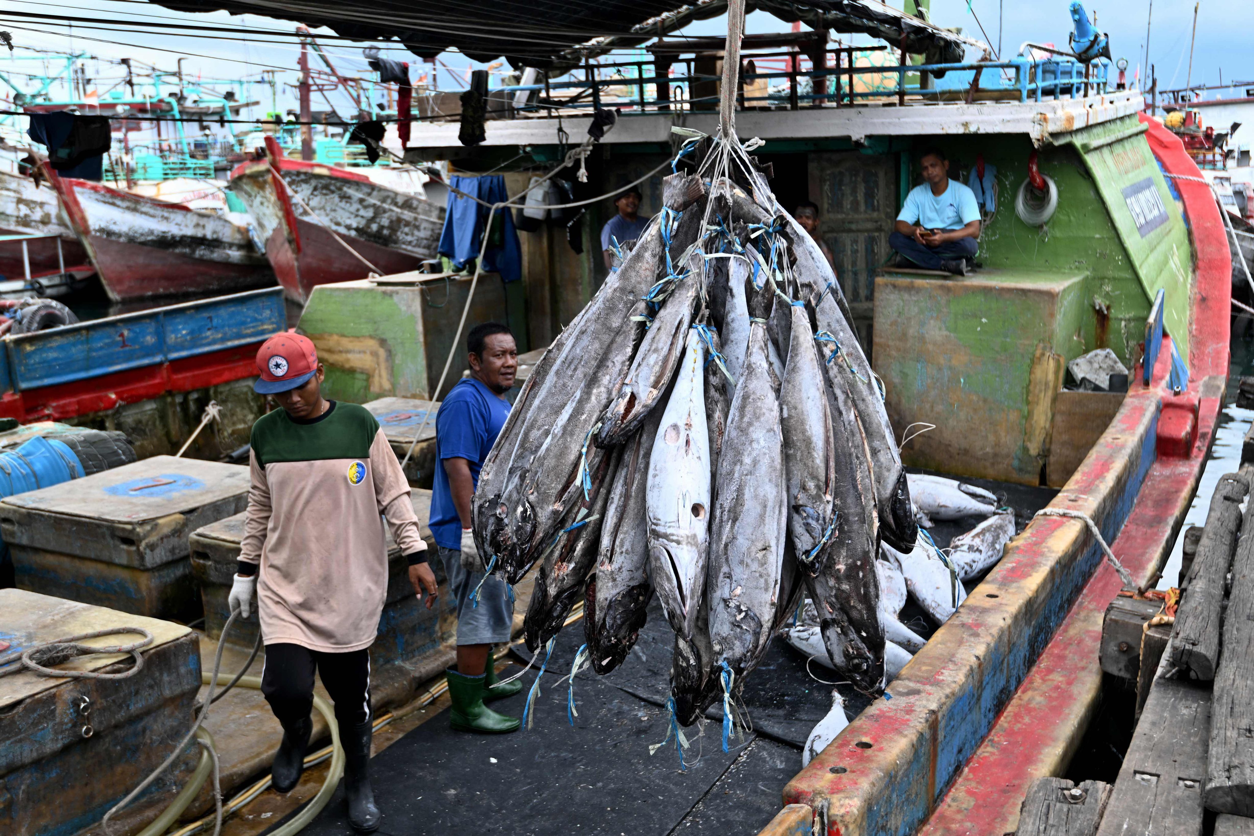 Workers load flash-frozen fish onto a truck from a longline vessel at the Benoa fishing port near Denpasar, on Indonesia’s Bali island, on March 16, 2025. Photo: AFP