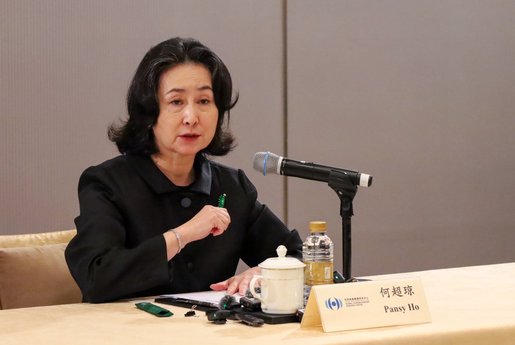 Pansy Ho says Greater Bay Area cities should be marketed collectively. Photo: Wynna Wong