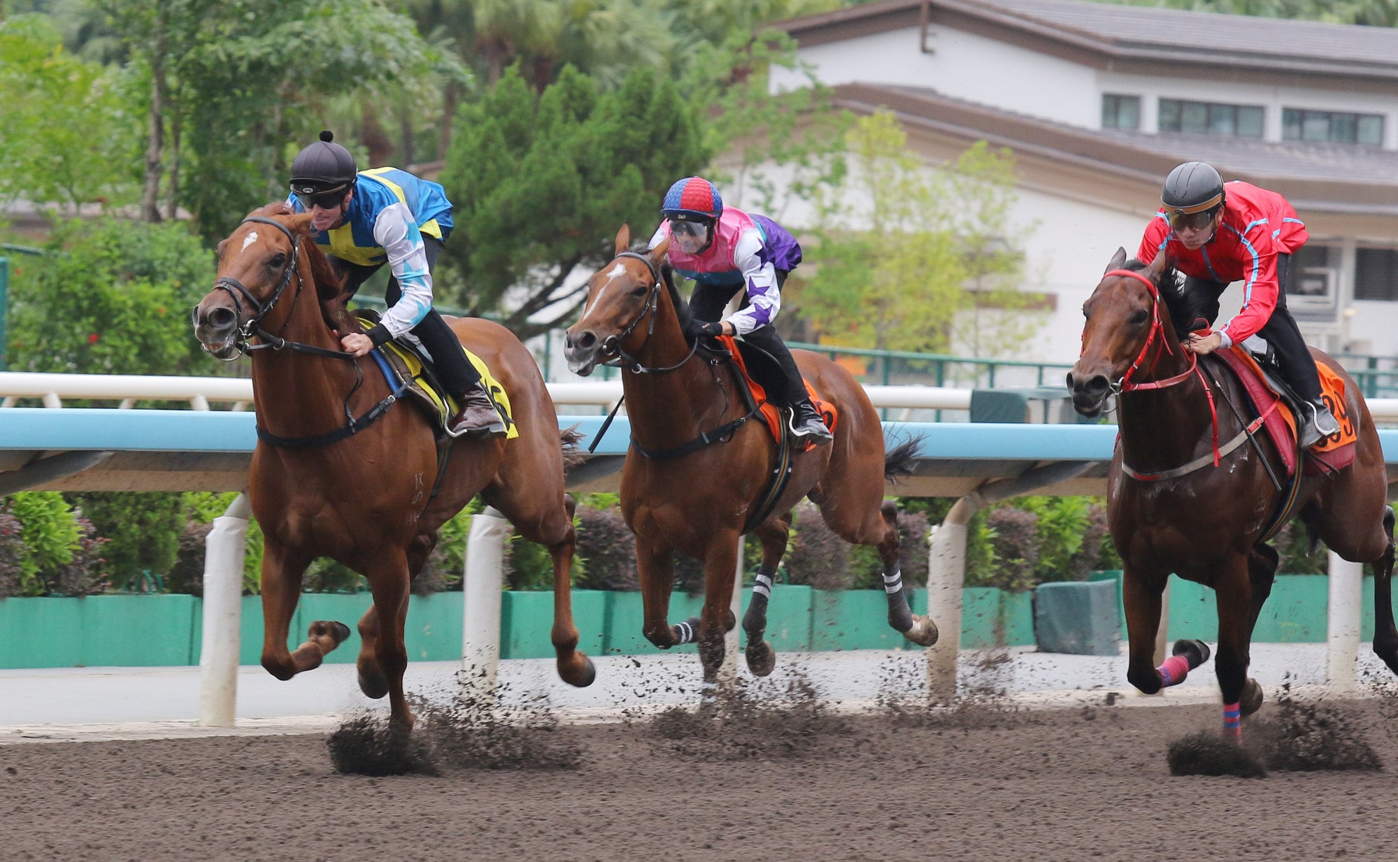 Patch Of Theta and Ethan Brown (left) trial at Sha Tin last week. Patch Of Theta and Ethan Brown (left) trial at Sha Tin last week.