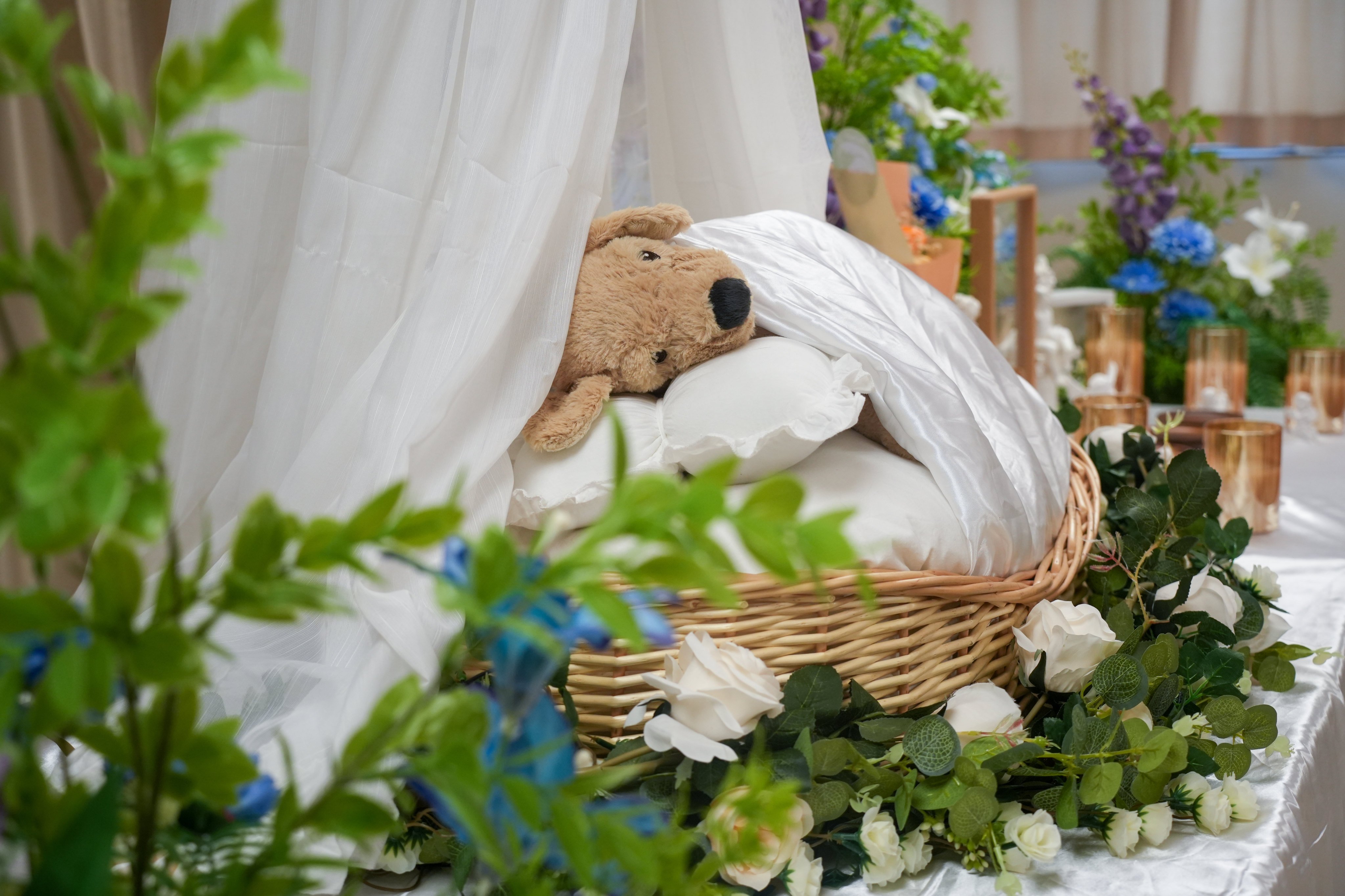Hong Kong’s pet funeral service providers have urged the government to allow animal ashes to be placed alongside those of their owners. Photo: Sun Yeung