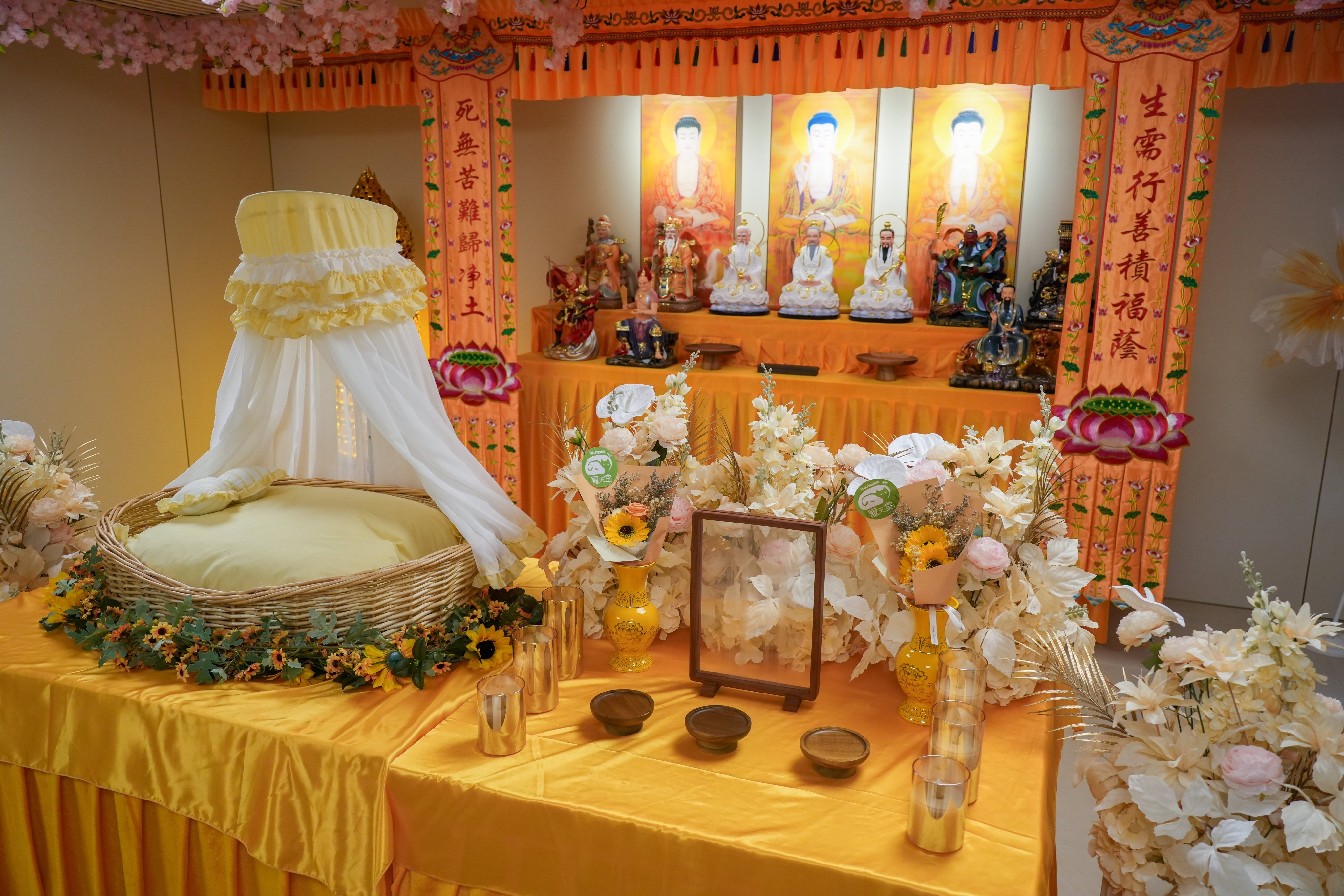 Pets Paradise in Kwai Chung was founded nine months ago and has already handled 500 to 600 cases, according to its founder. Photo: Sun Yeung