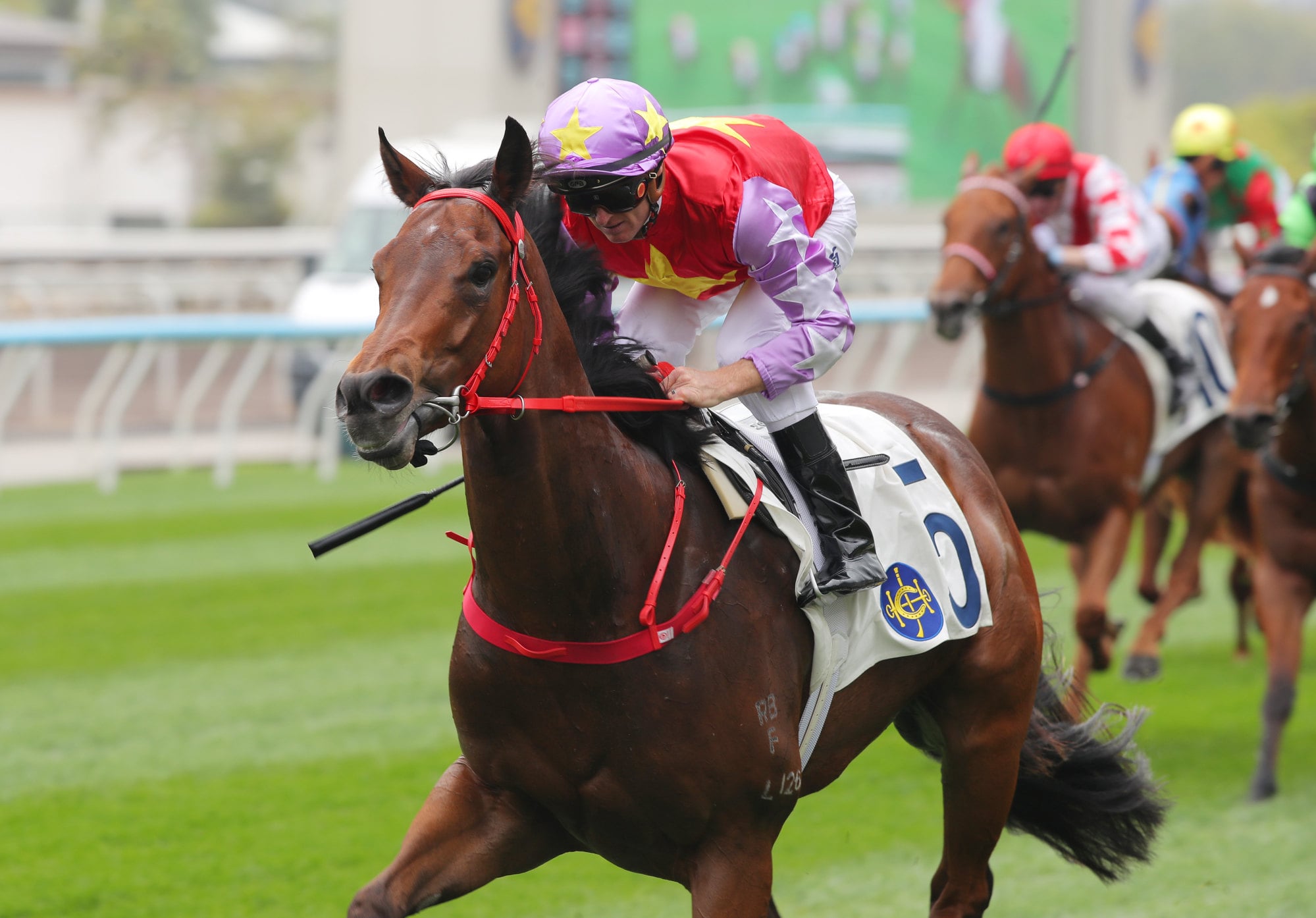 Almighty Lightning, ridden by Zac Purton, scores at Sha Tin. Almighty Lightning, ridden by Zac Purton, scores at Sha Tin.