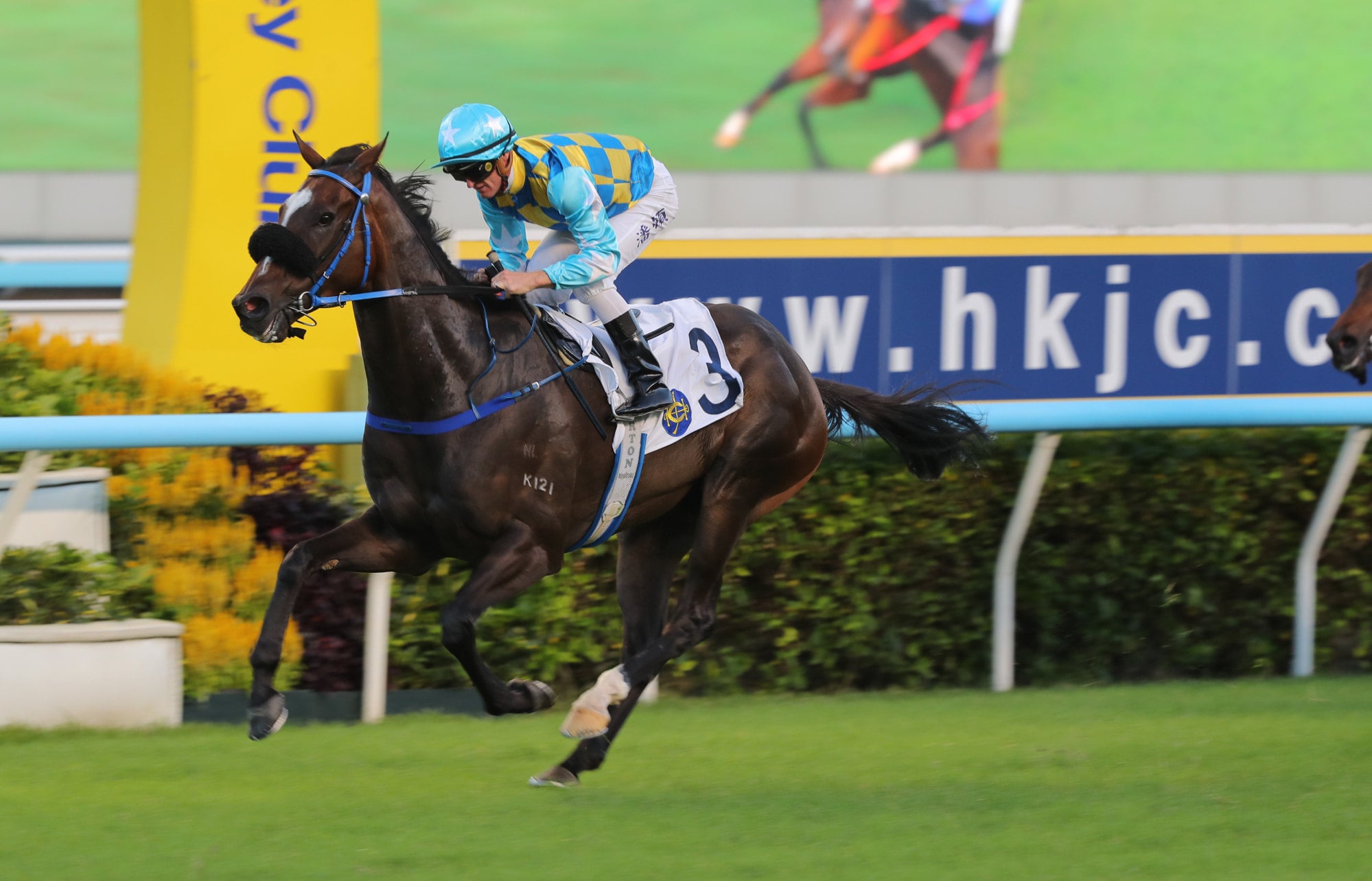 Come Fast Fay Fay, ridden by Zac Purton, wins Sha Tin. Come Fast Fay Fay, ridden by Zac Purton, wins Sha Tin.