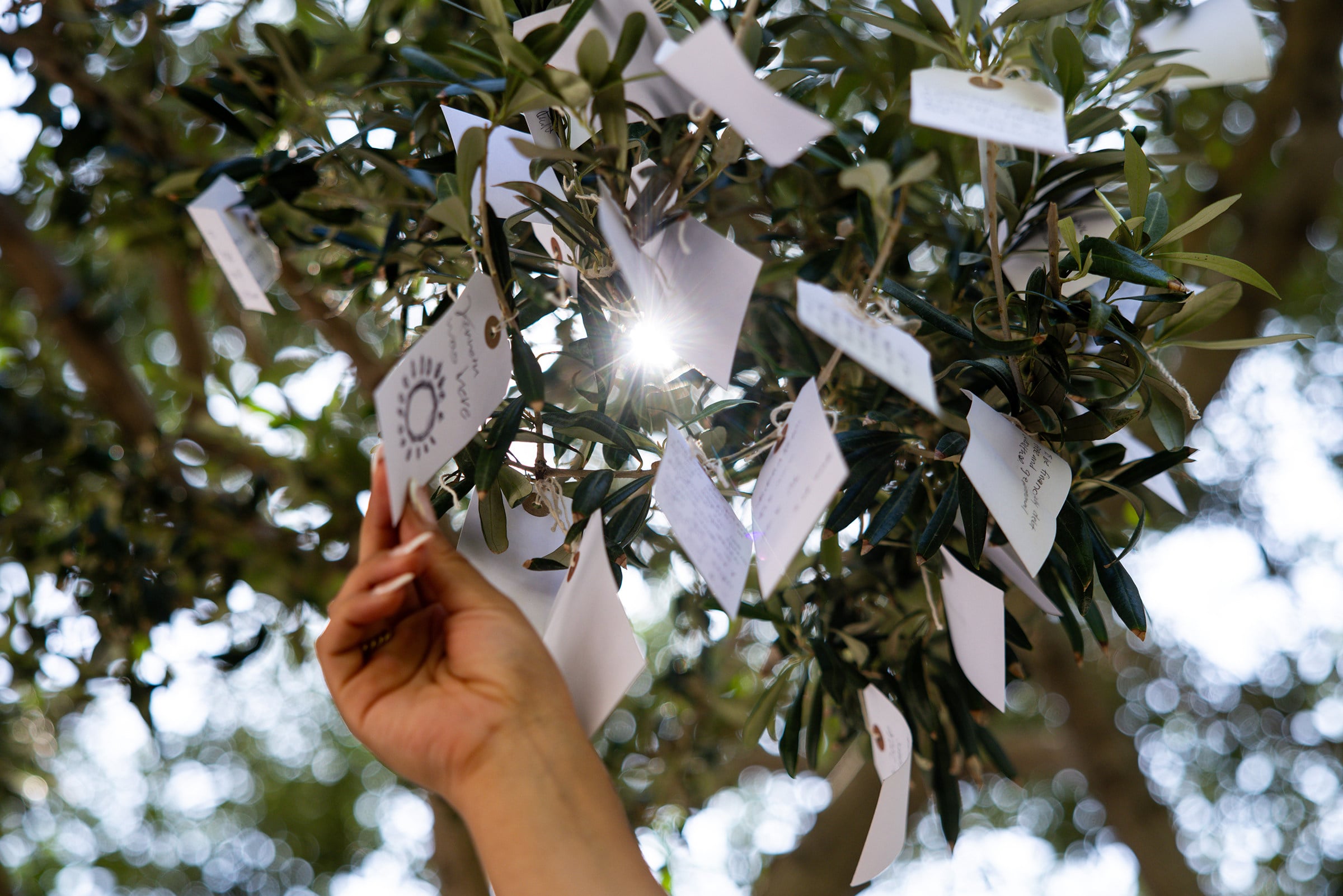 A visitor ties a paper tag bearing a wish onto a tree in the courtyard of The Broad in Los Angeles, California, part of Yoko Ono’s Wish Trees for Los Angeles installation. Photo: TNS