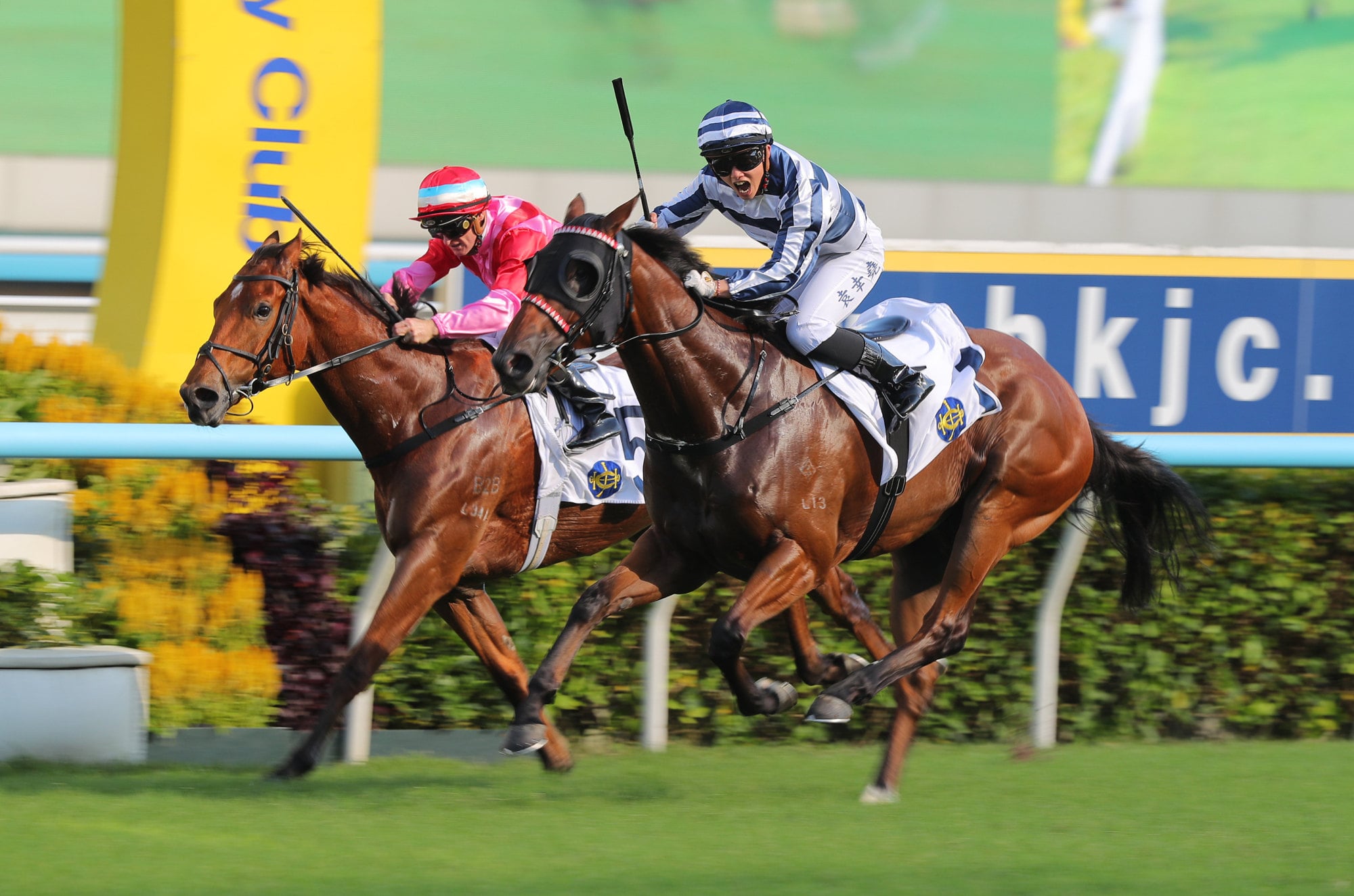 Nichola Yuen lets out a roar as Packing Glory gets up at Sha Tin. Nichola Yuen lets out a roar as Packing Glory gets up at Sha Tin.