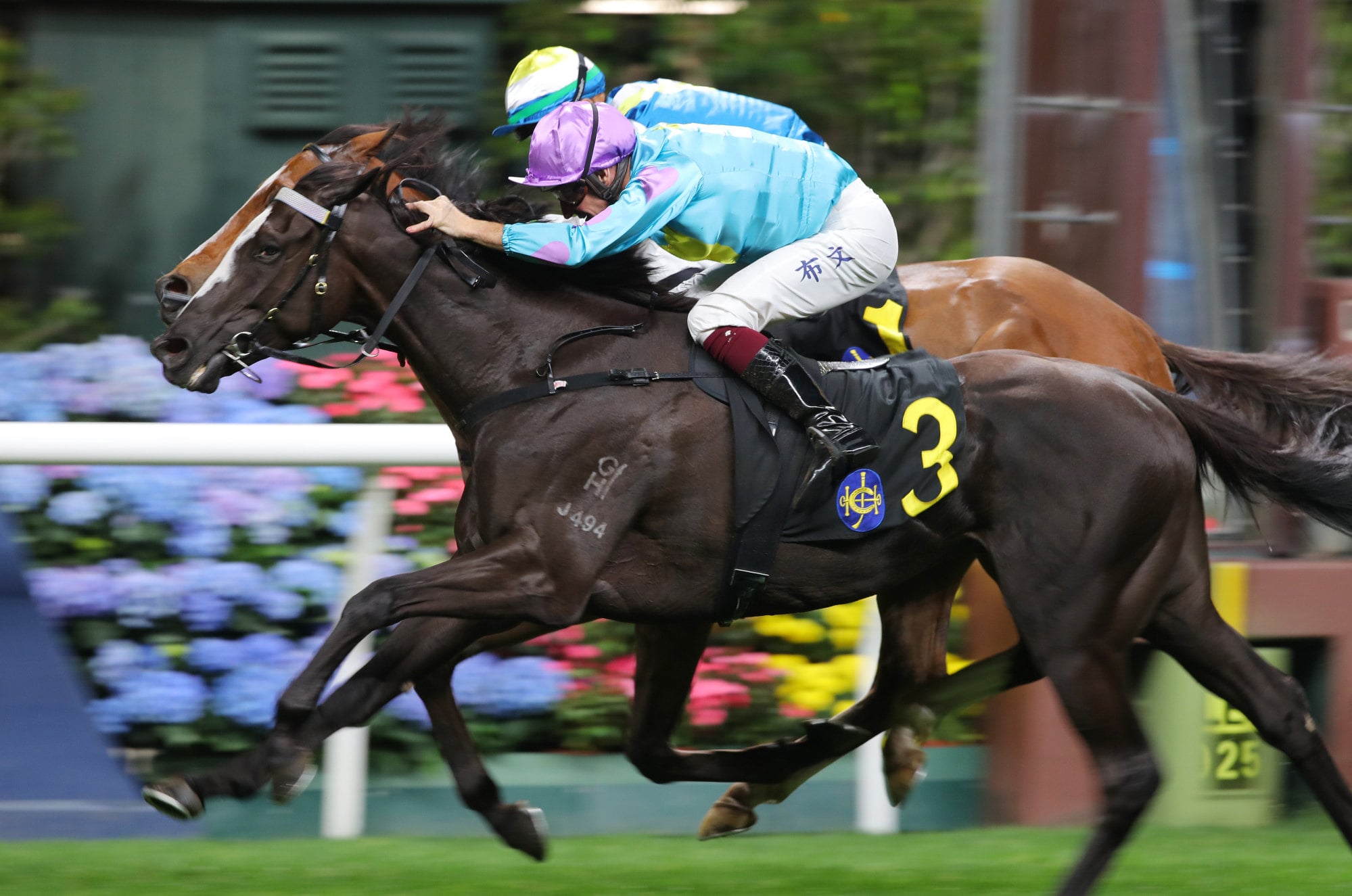 Casa Rochester, ridden by Hugh Bowman, scores at Happy Valley. Casa Rochester, ridden by Hugh Bowman, scores at Happy Valley.