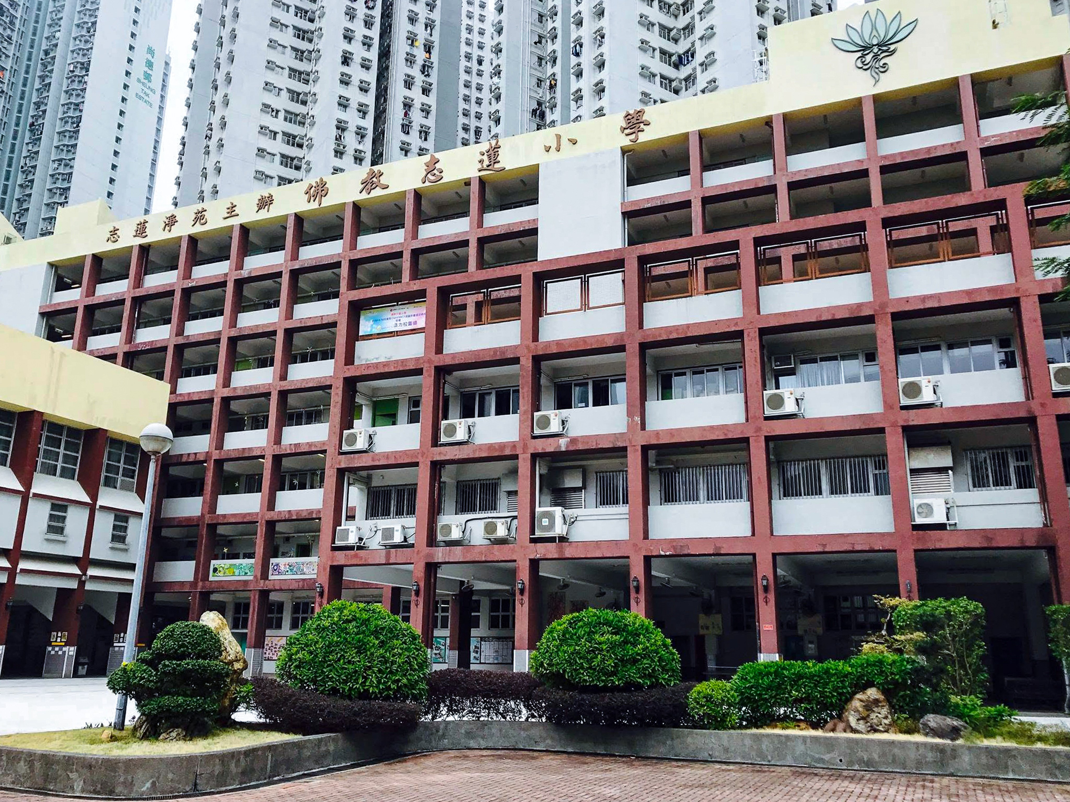 Chi Lin Buddhist Primary School has caused a stir online after inviting pupils and parents to an overnight watch party of a World Cup match on July 15. Photo: Handout