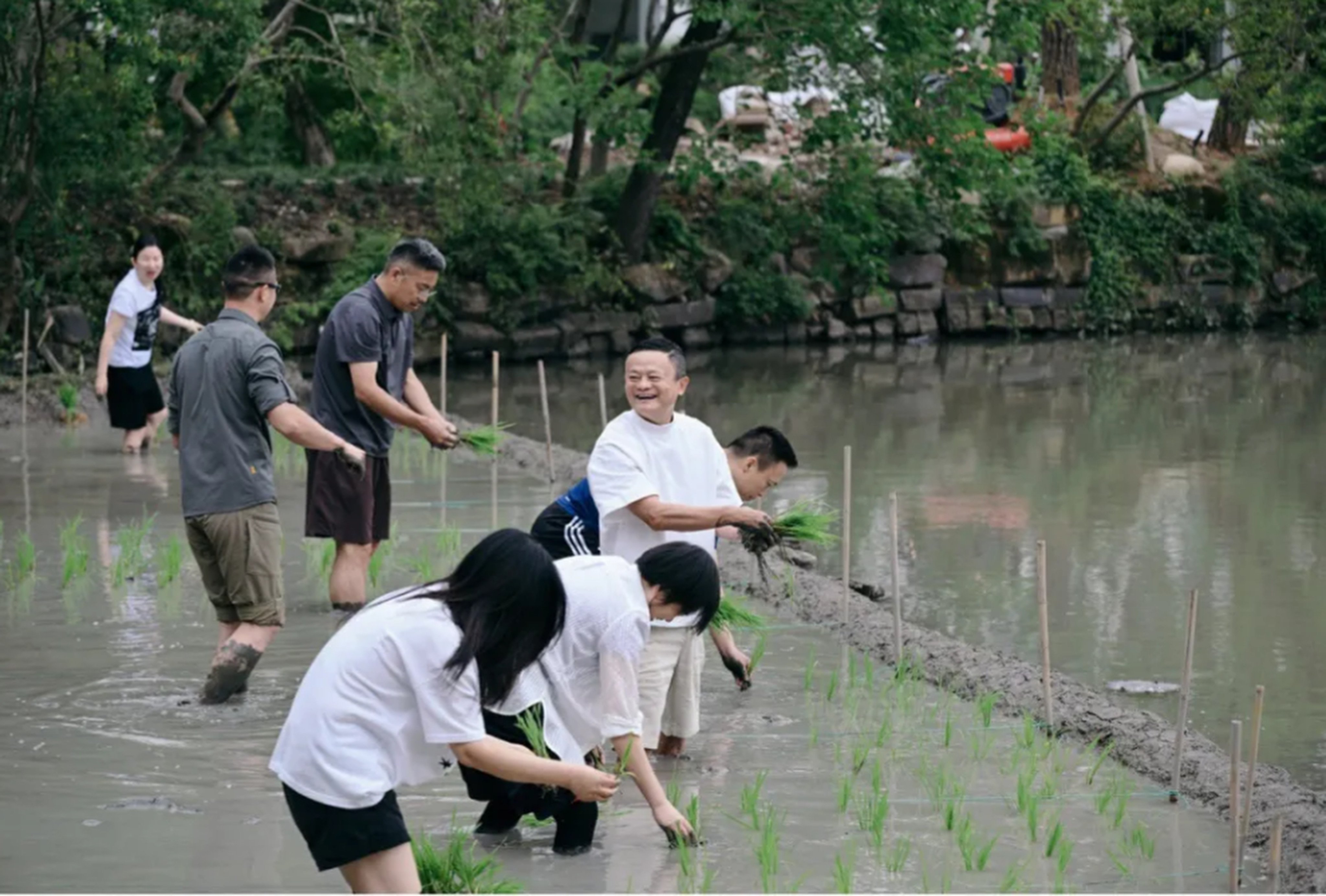 Jack Ma and Alibaba executives gather at the rice-planting team-building event. Photo: Handout
