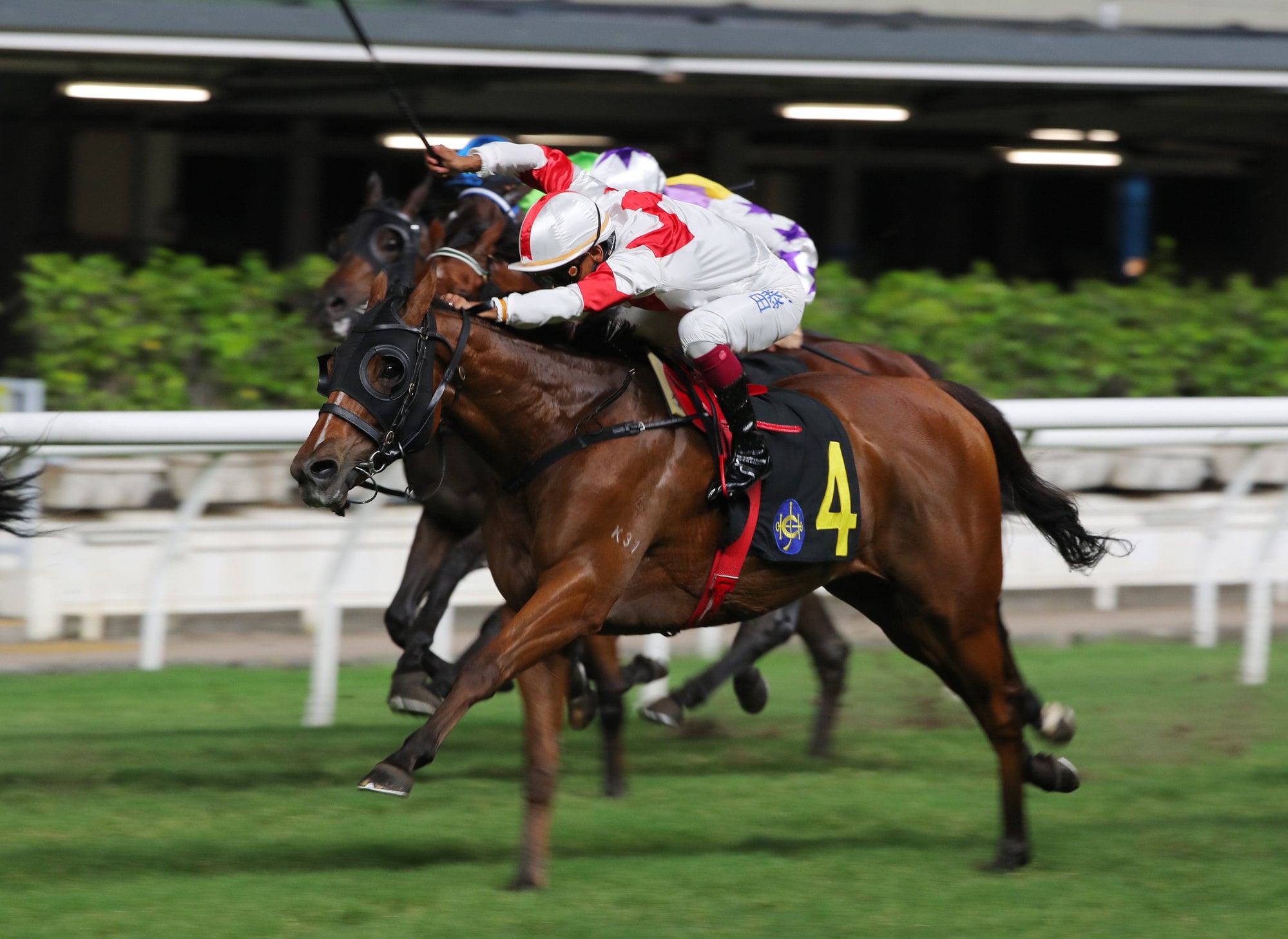Definitive, ridden by Karis Teetan, is victorious at Happy Valley. Definitive, ridden by Karis Teetan, is victorious at Happy Valley.
