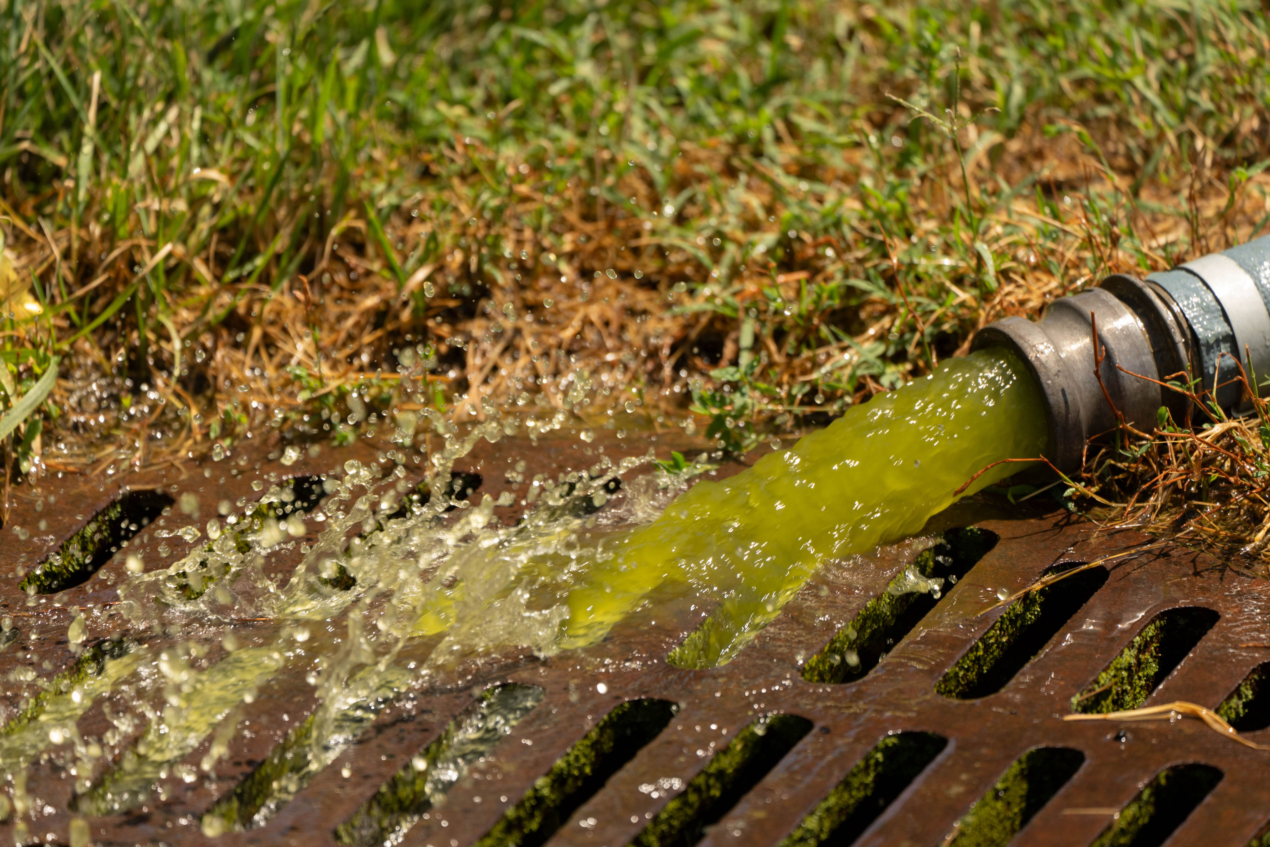 Water from the pool. Photo: AP