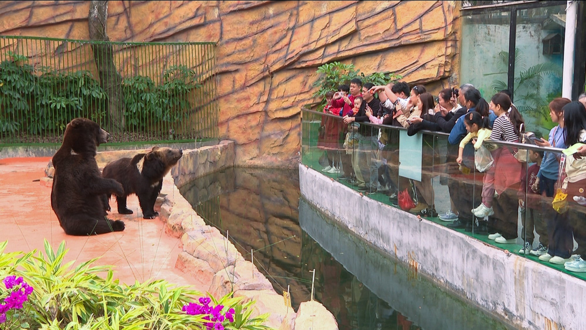 Visitors observe bears at a zoo in Zhongshan, where these animals are major crowd-pleasers. Photo: Zsbtv