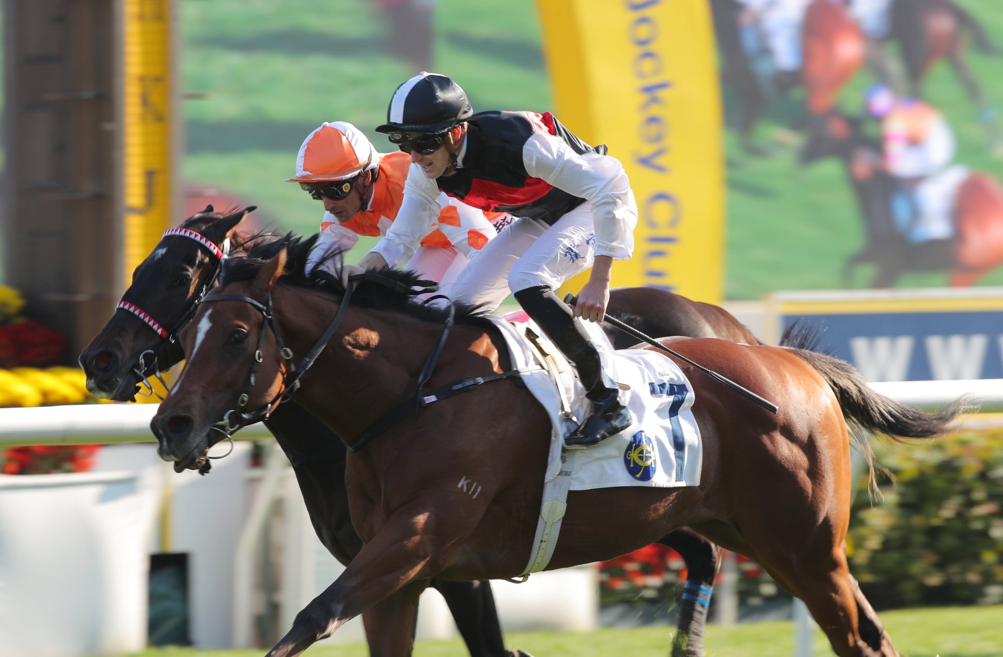 Young Emperor, ridden by Luke Ferraris, wins at Sha Tin. Young Emperor, ridden by Luke Ferraris, wins at Sha Tin.