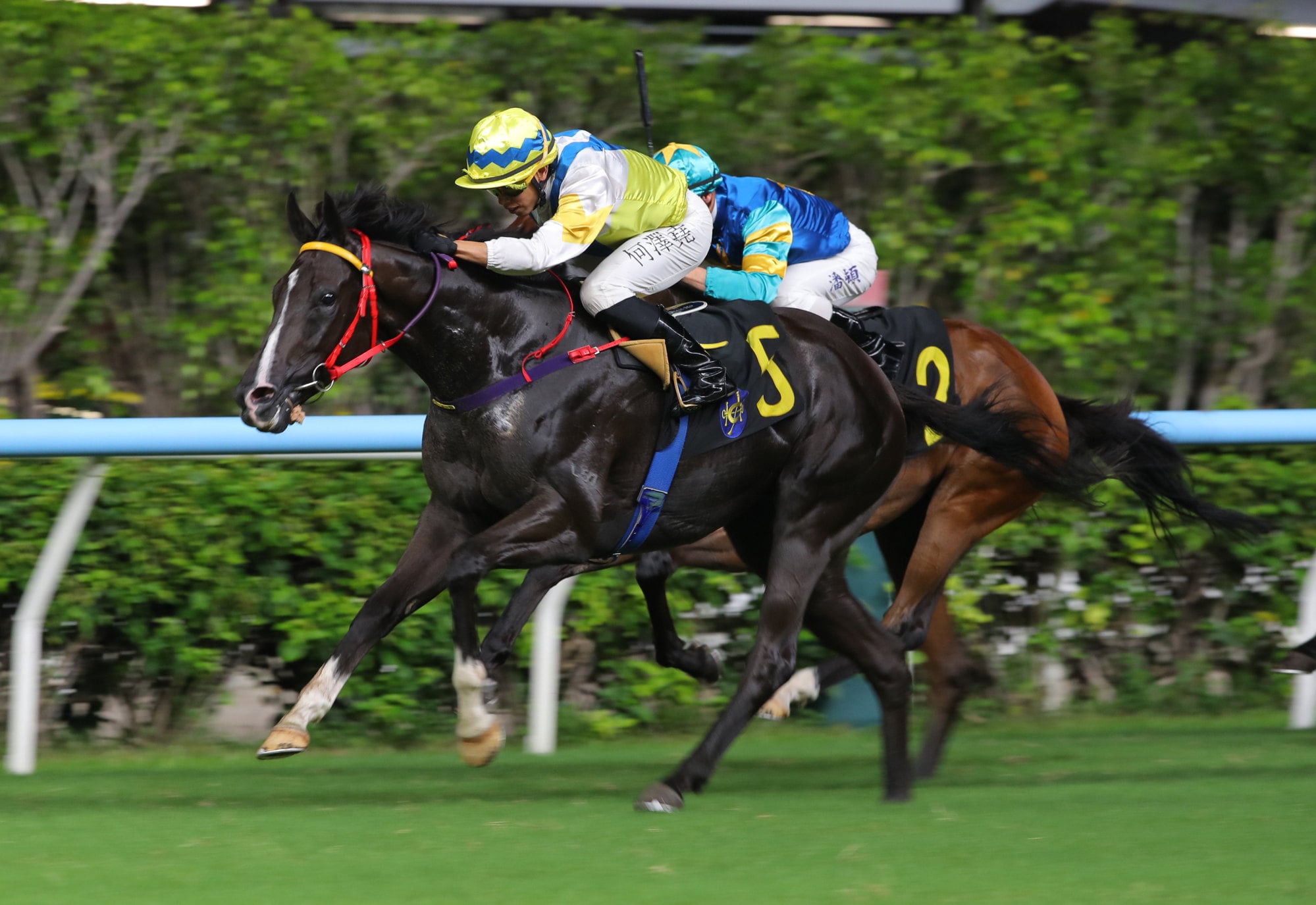Flying Fortune, ridden by Vincent Ho, scores at Happy Valley. Flying Fortune, ridden by Vincent Ho, scores at Happy Valley.