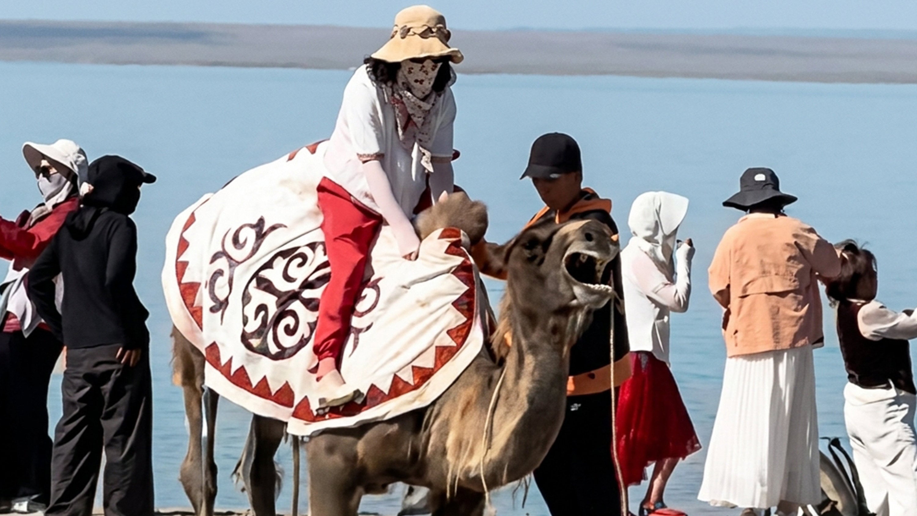 A camel at a popular tourist site in China was spotted crying out in distress while carrying a visitor, sparking widespread outrage online. Photo: Douyin