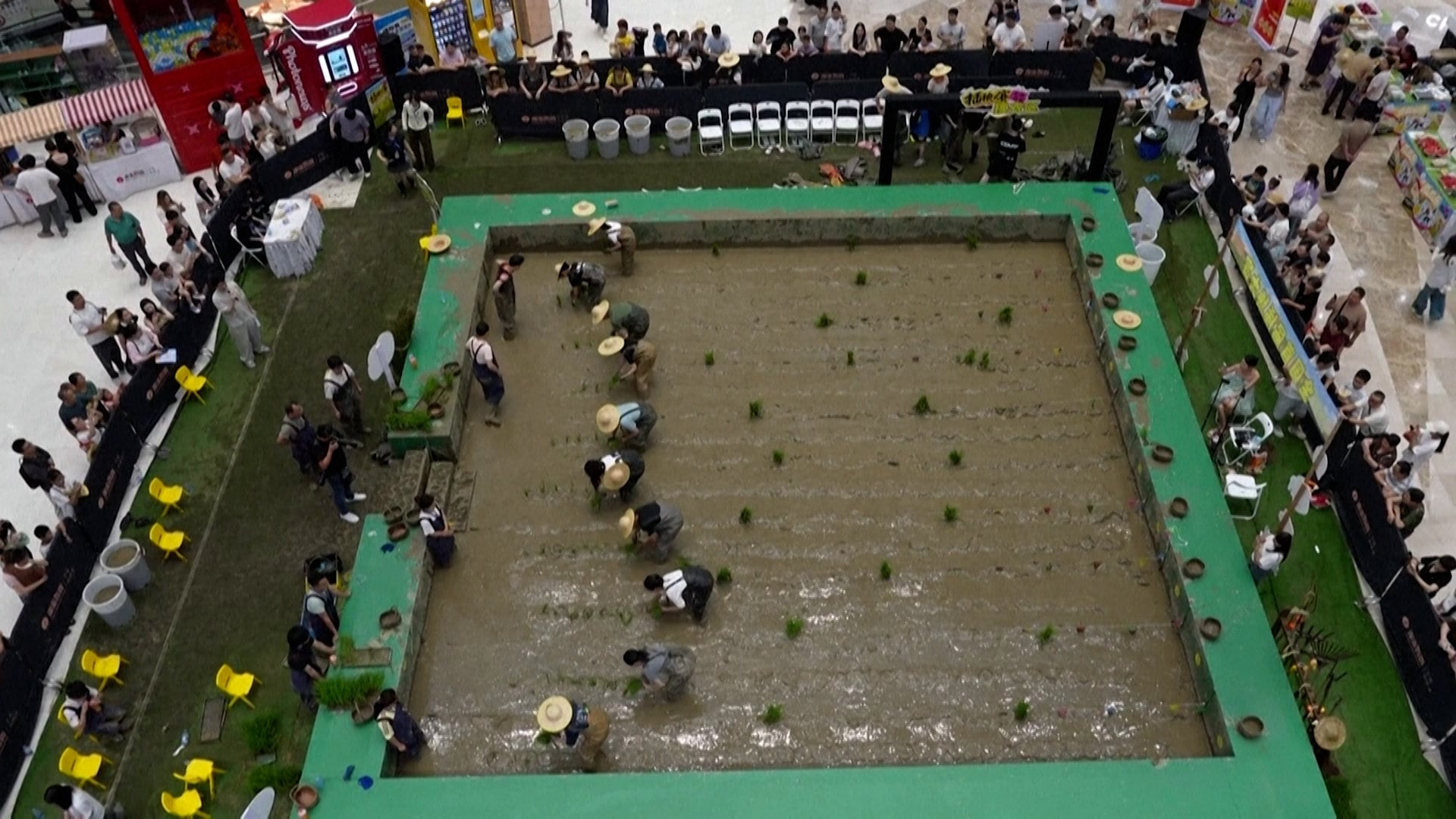 Web thumbnail for Chinese shopping centre hosts indoor rice-planting activity