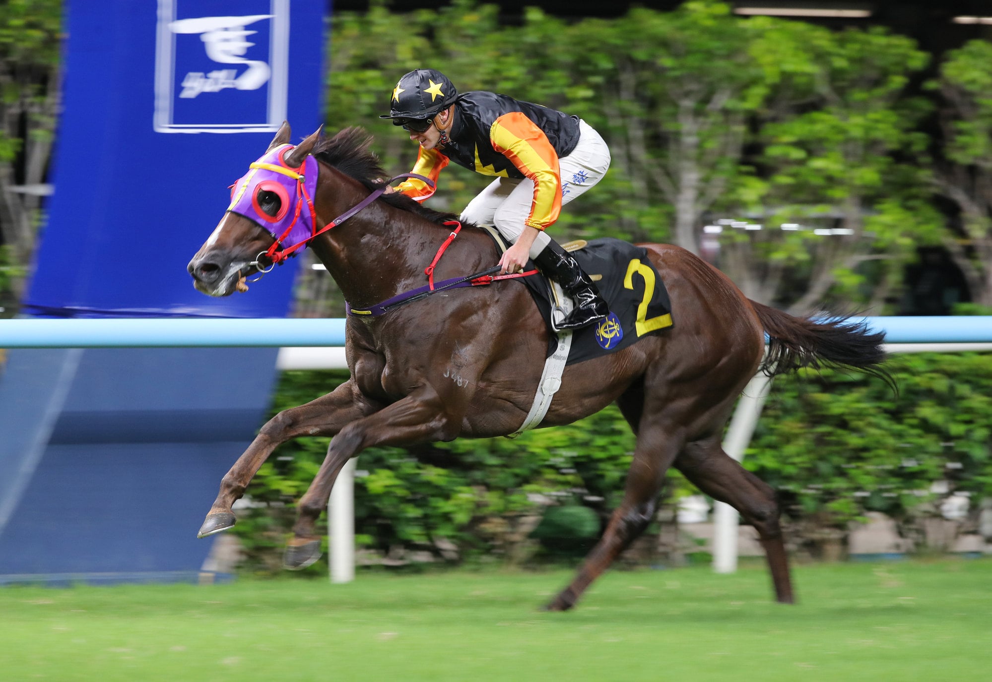 Meowth, ridden by Luke Ferraris, wins at Happy Valley. Meowth, ridden by Luke Ferraris, wins at Happy Valley.