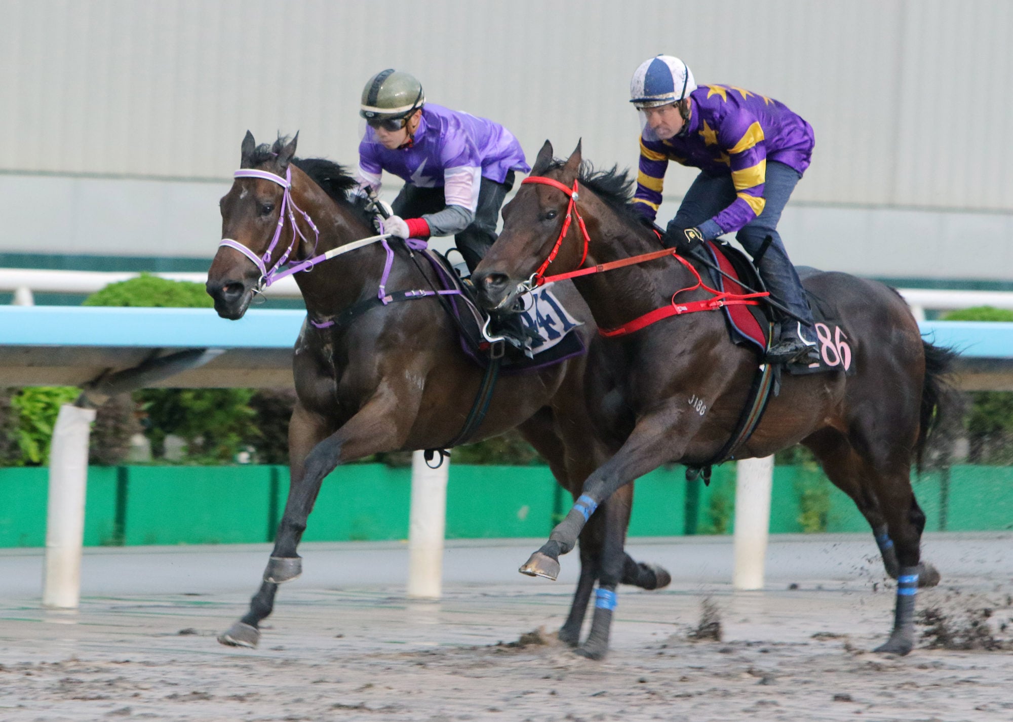 Stellar Express (near) trials at Sha Tin this month.
